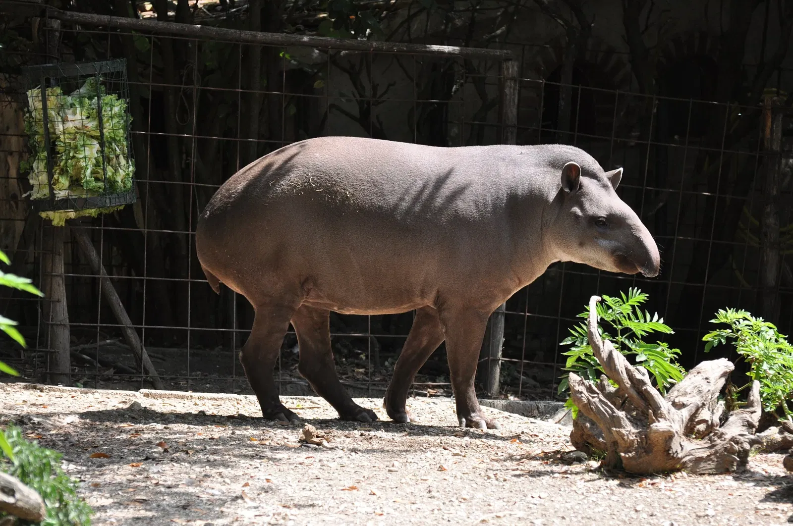 Giardino Zoologico di Pistoia