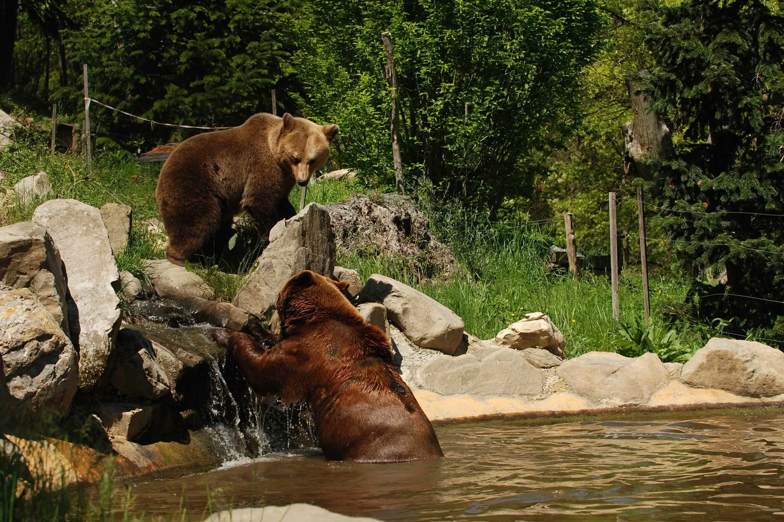 Giardino Zoologico di Pistoia