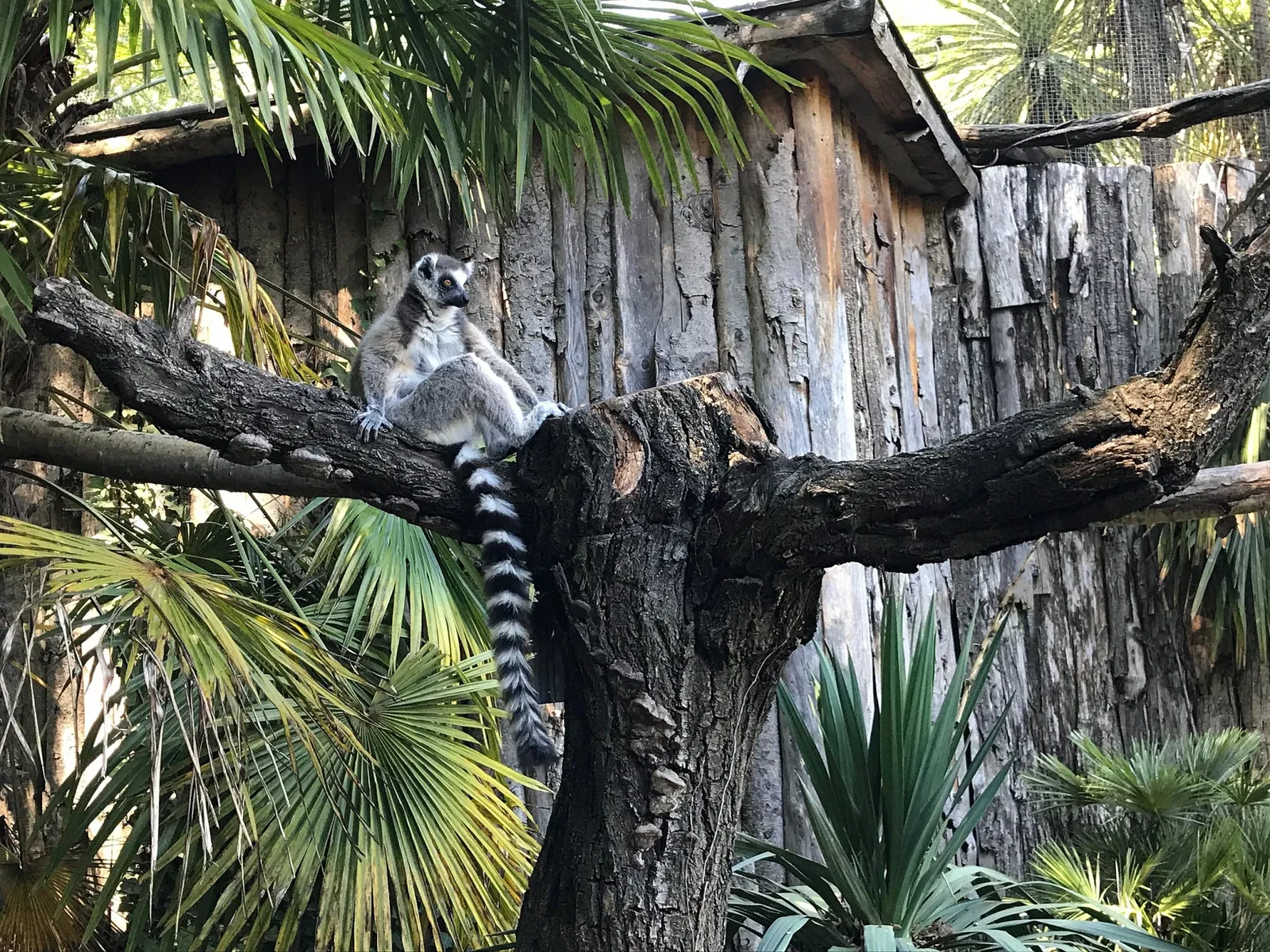 Giardino Zoologico di Pistoia