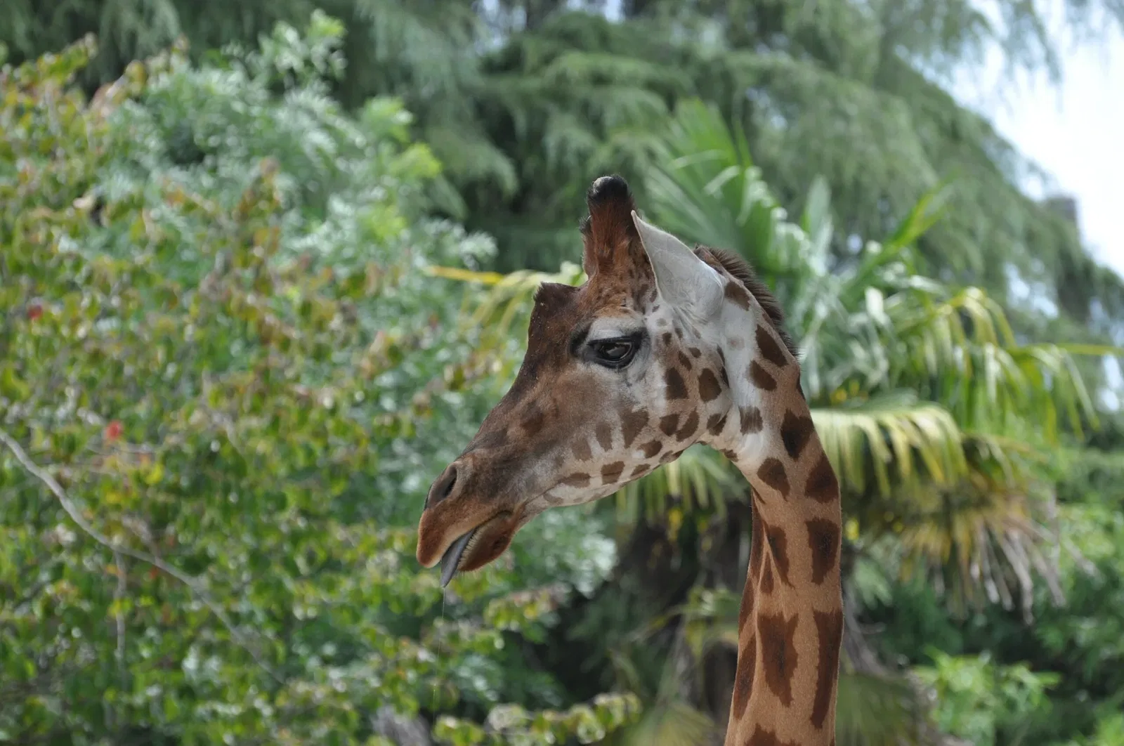 Giardino Zoologico di Pistoia