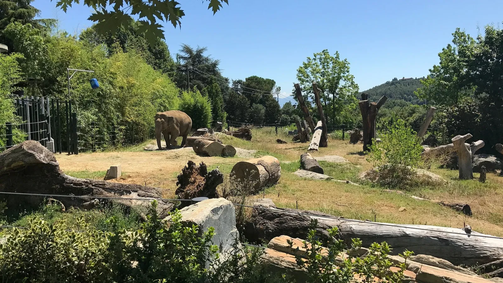 Giardino Zoologico di Pistoia
