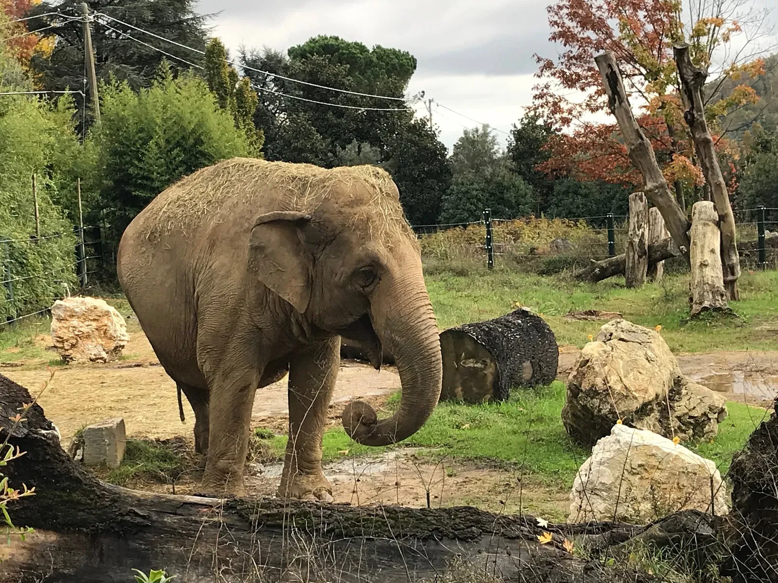 Giardino Zoologico di Pistoia