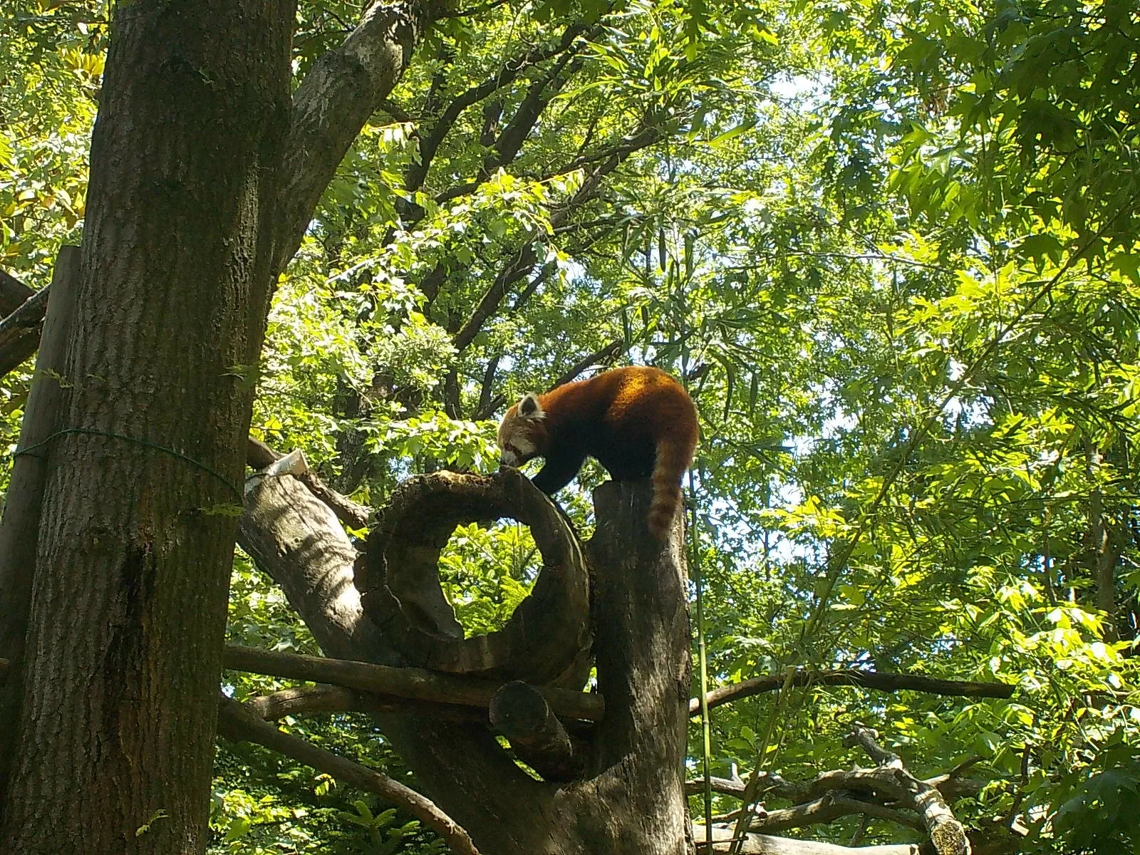 Giardino Zoologico di Pistoia