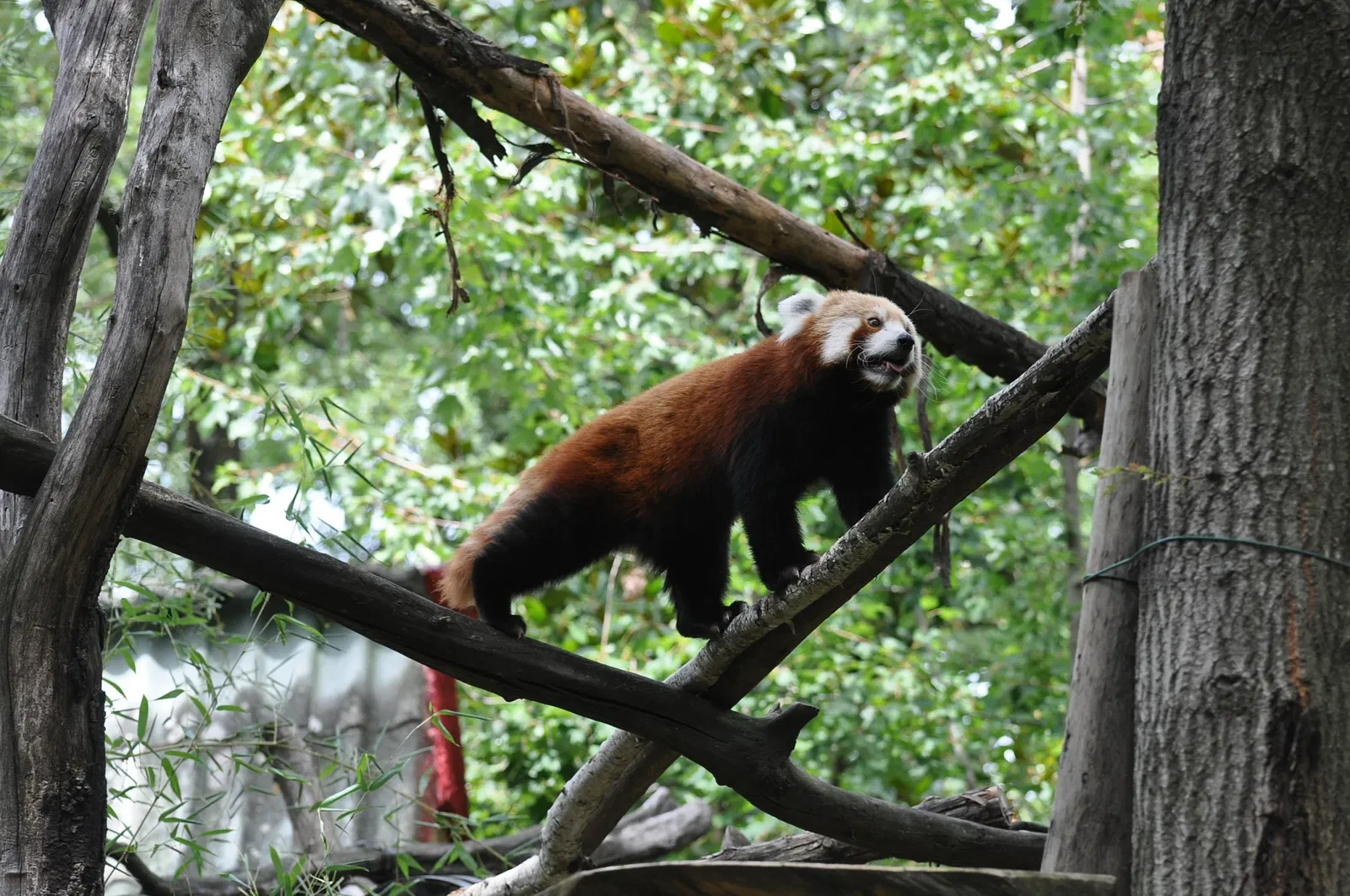 Giardino Zoologico di Pistoia