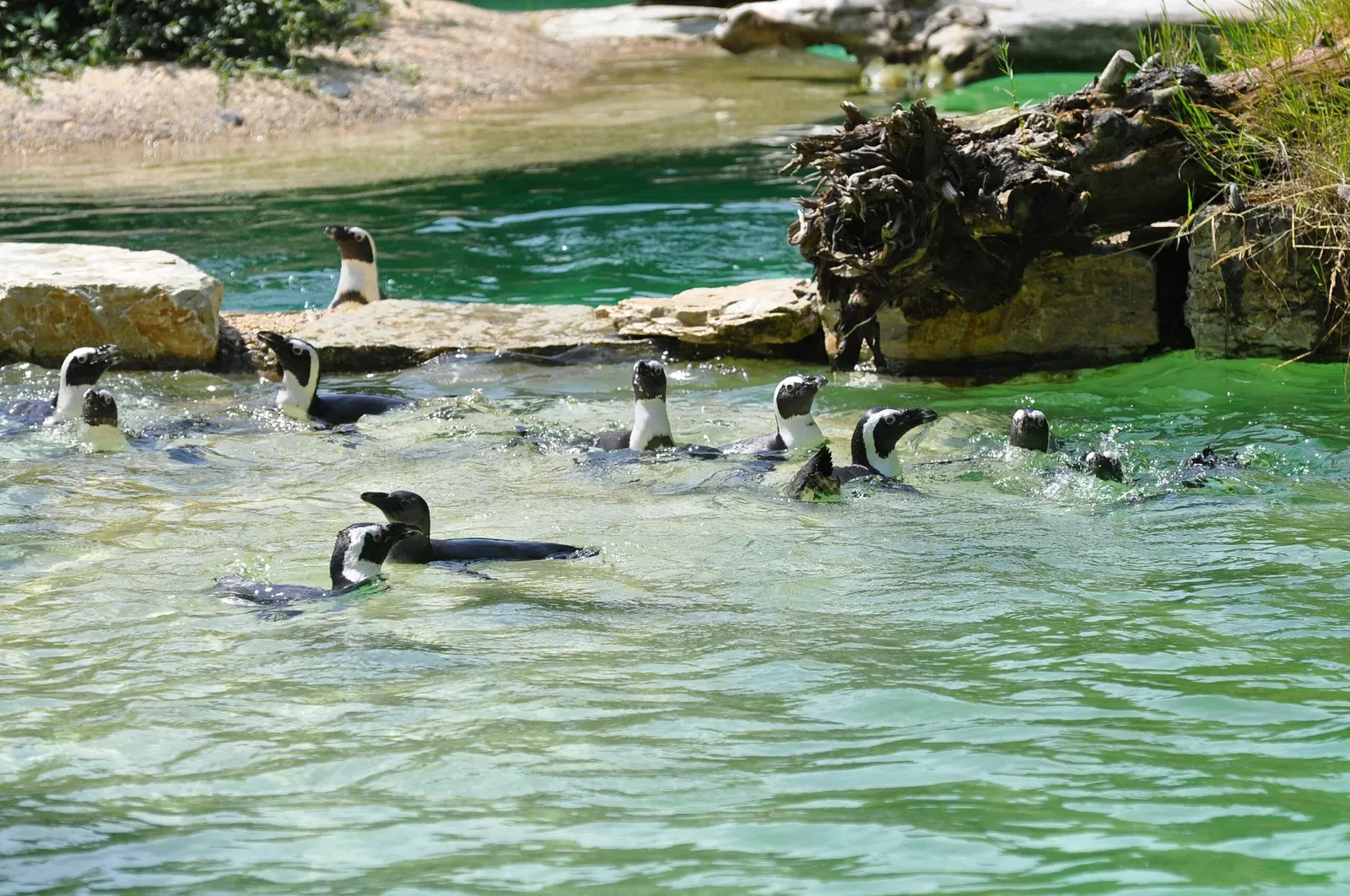 Giardino Zoologico di Pistoia