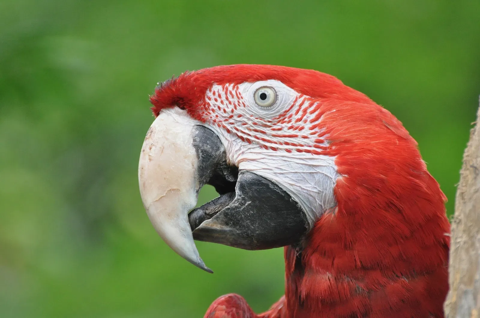 Giardino Zoologico di Pistoia