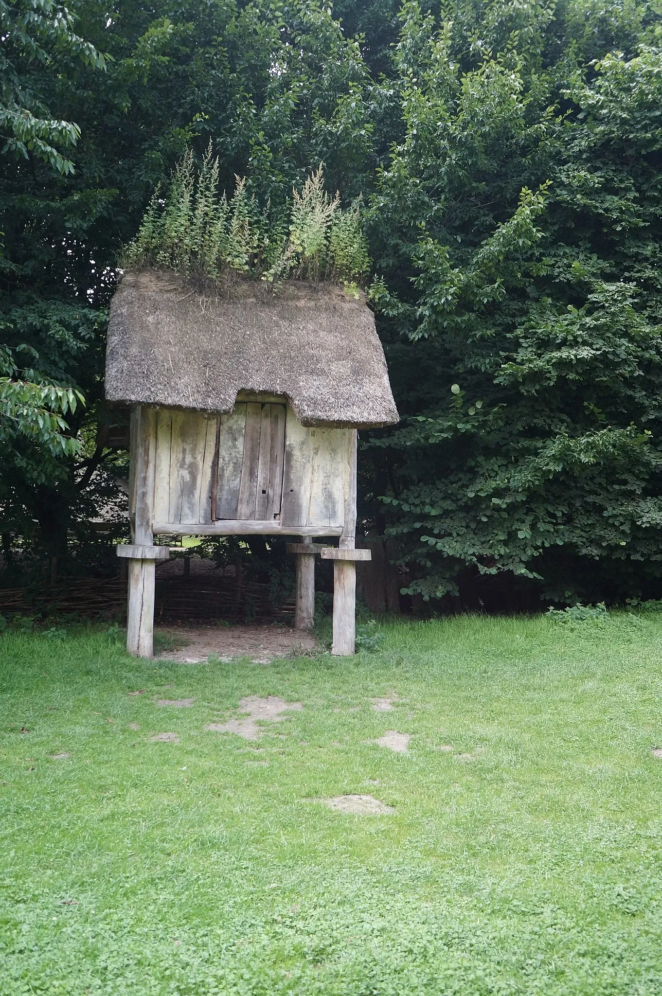 Parc Archéologique Asnapio