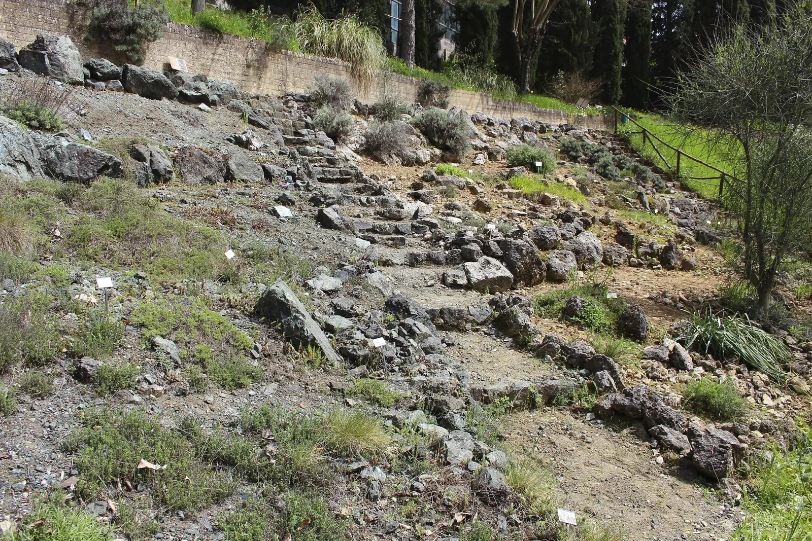 Orto Botanico dell'Università di Siena