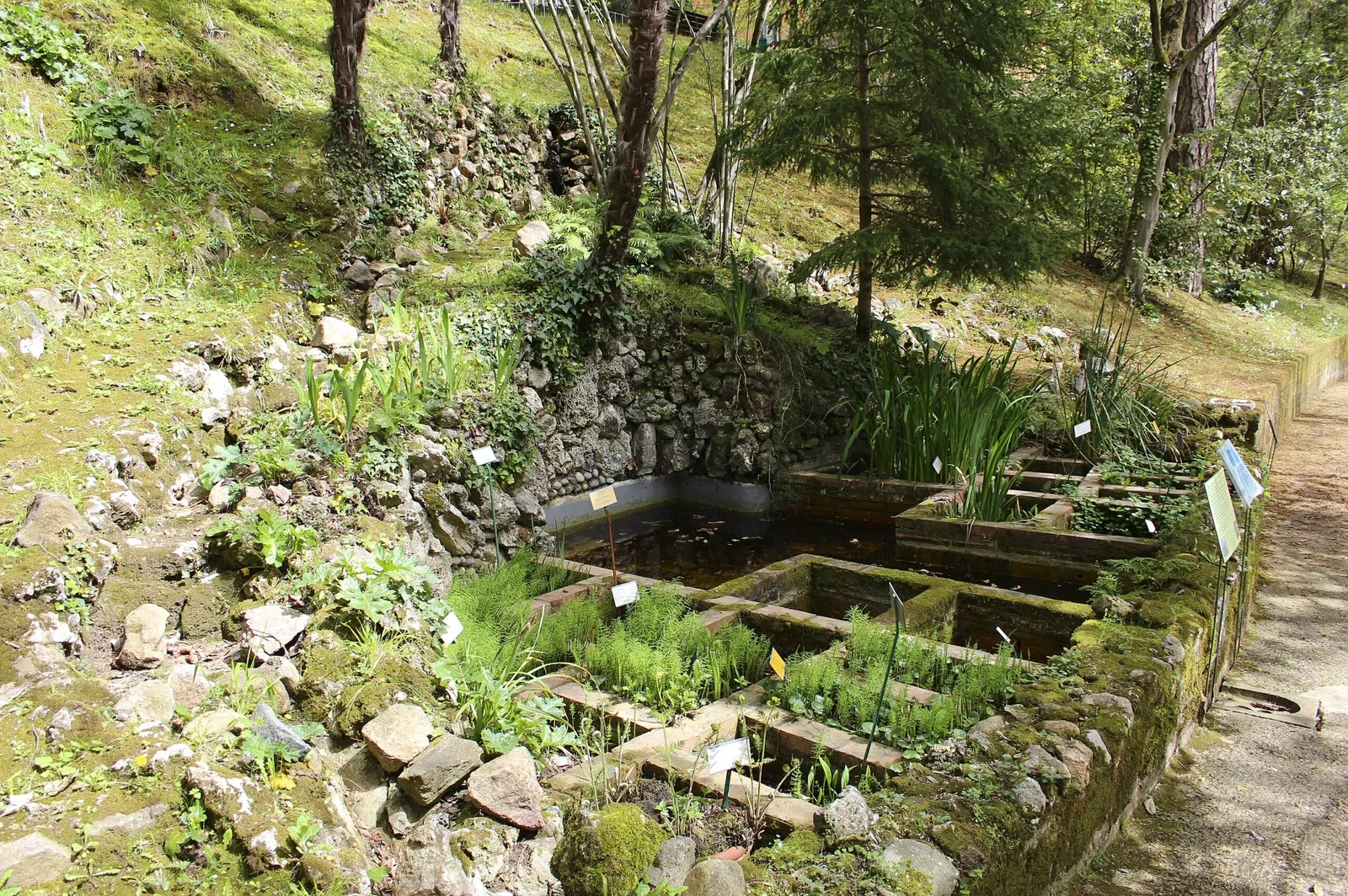 Orto Botanico dell'Università di Siena