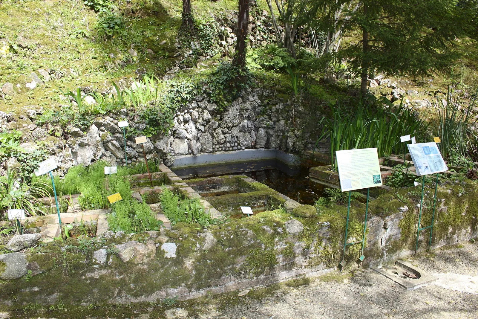 Orto Botanico dell'Università di Siena