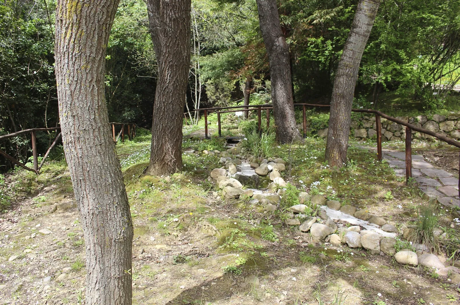 Museo botanico e L'Erbario dell'Università di Siena