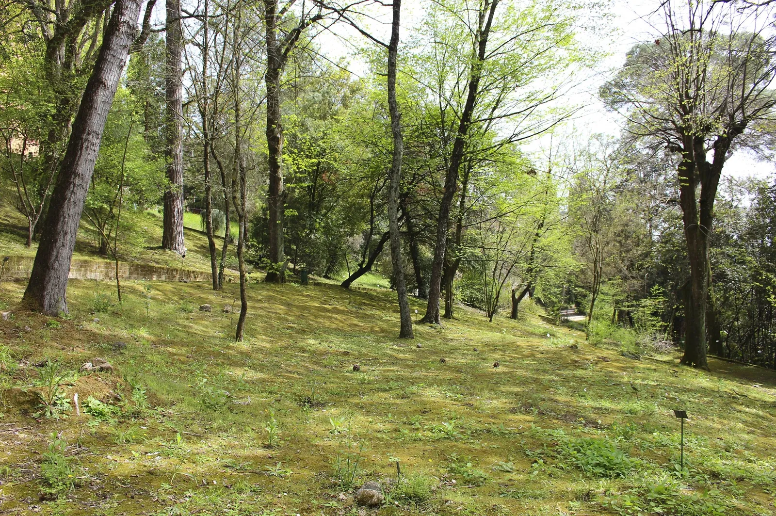 Jardín botánico de la Universidad de Siena