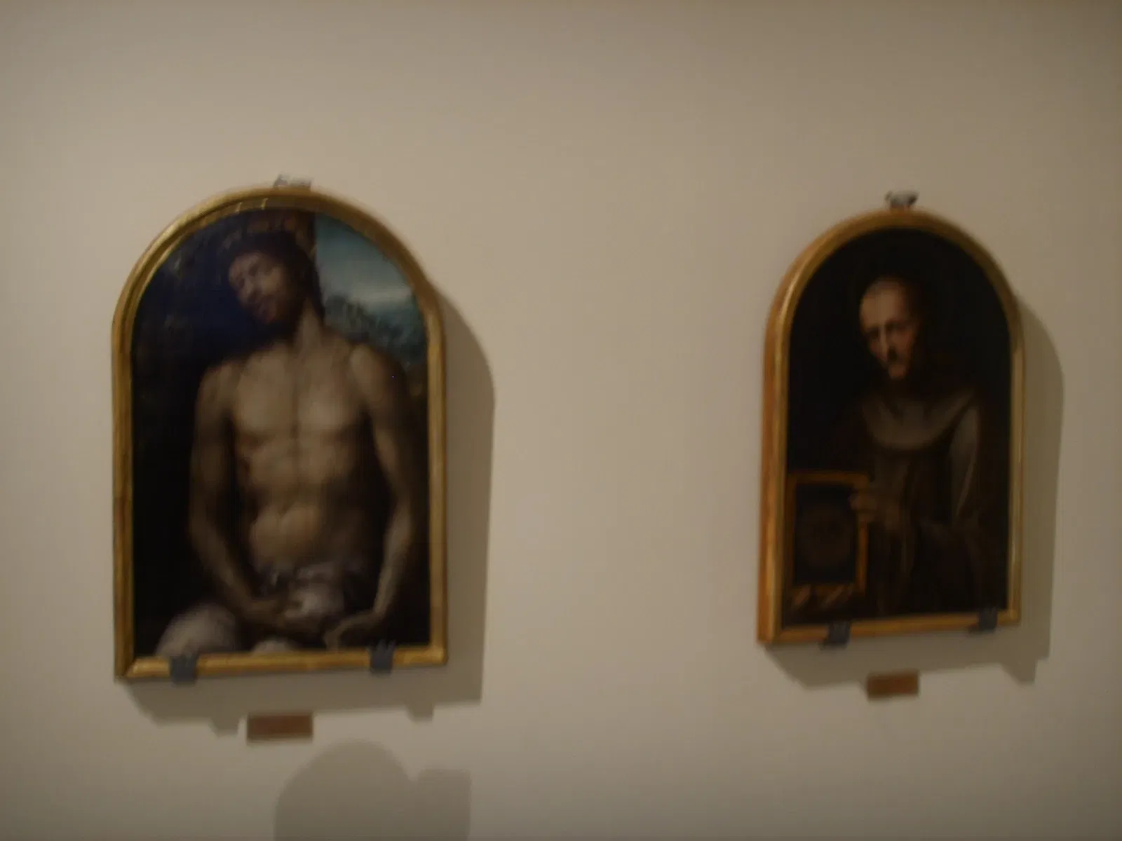 Museo dell'Opera Metropolitana del Duomo