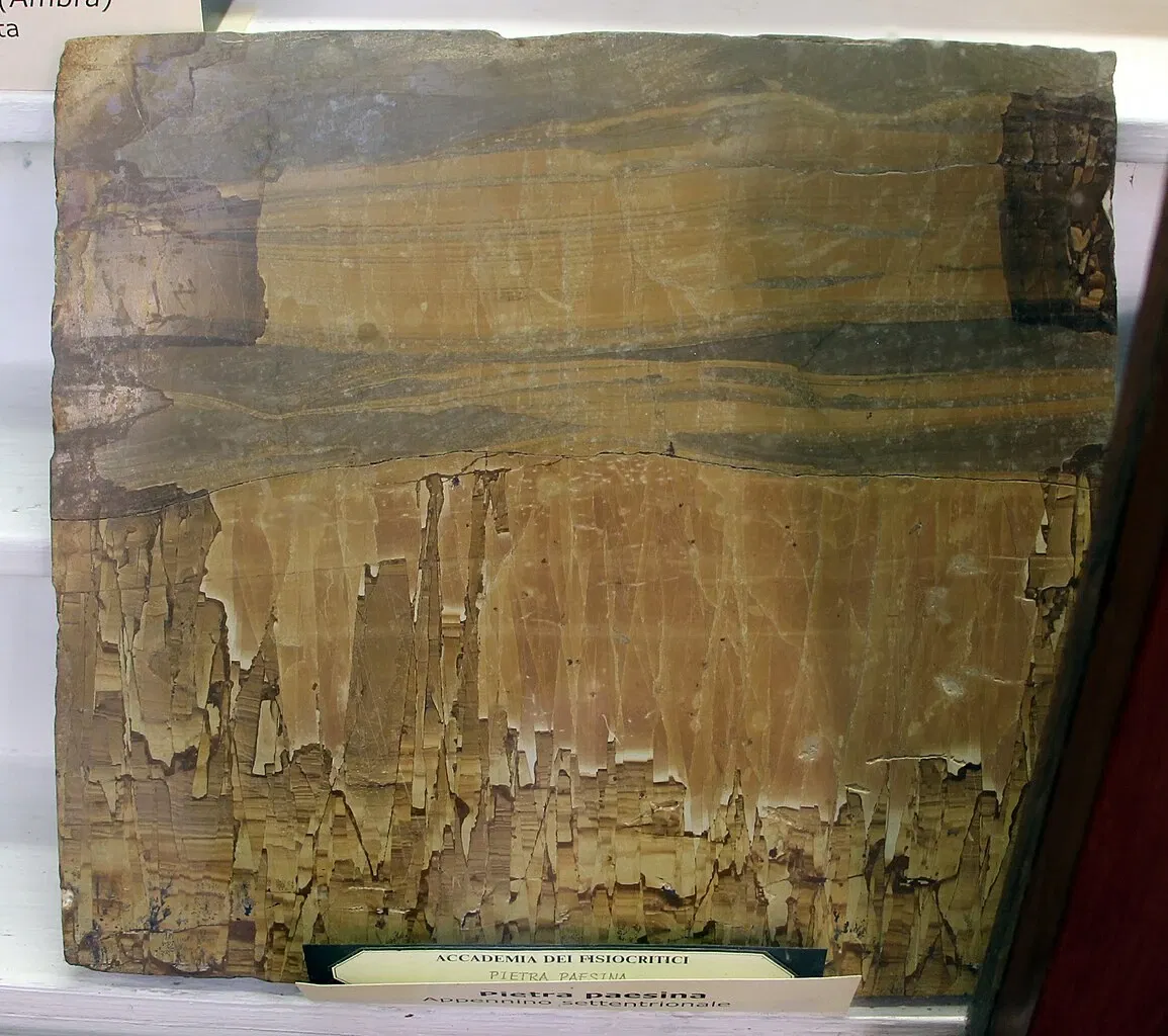 Natural History Museum of the Academy of the Fisiocritici