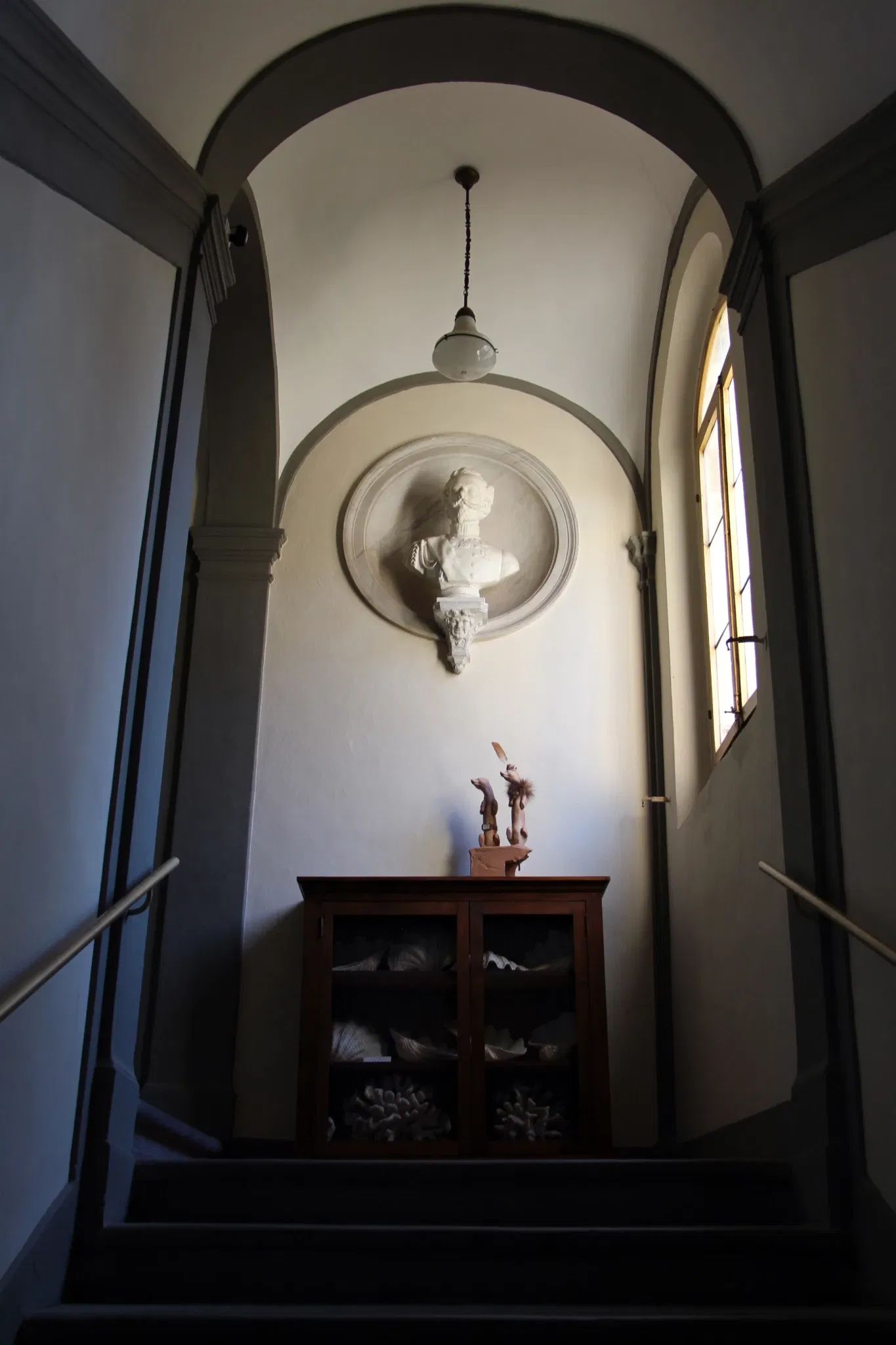 Natural History Museum of the Academy of the Fisiocritici