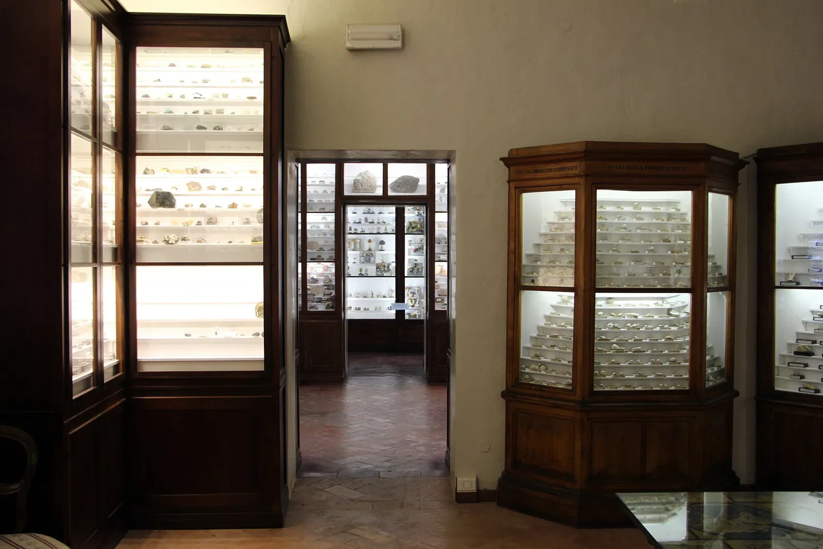 Museo di Storia Naturale Accademia dei Fisiocritici