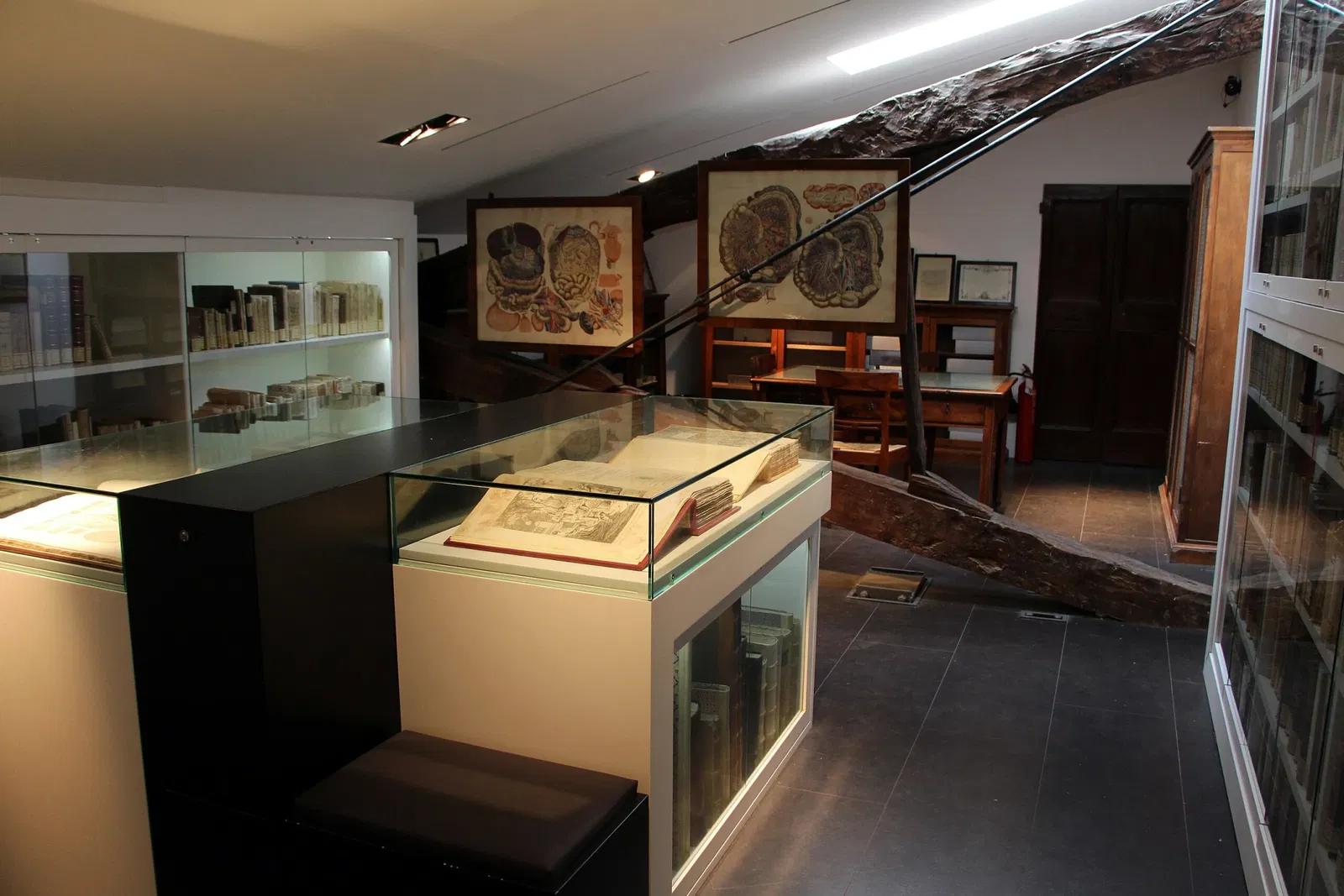 Natural History Museum of the Academy of the Fisiocritici