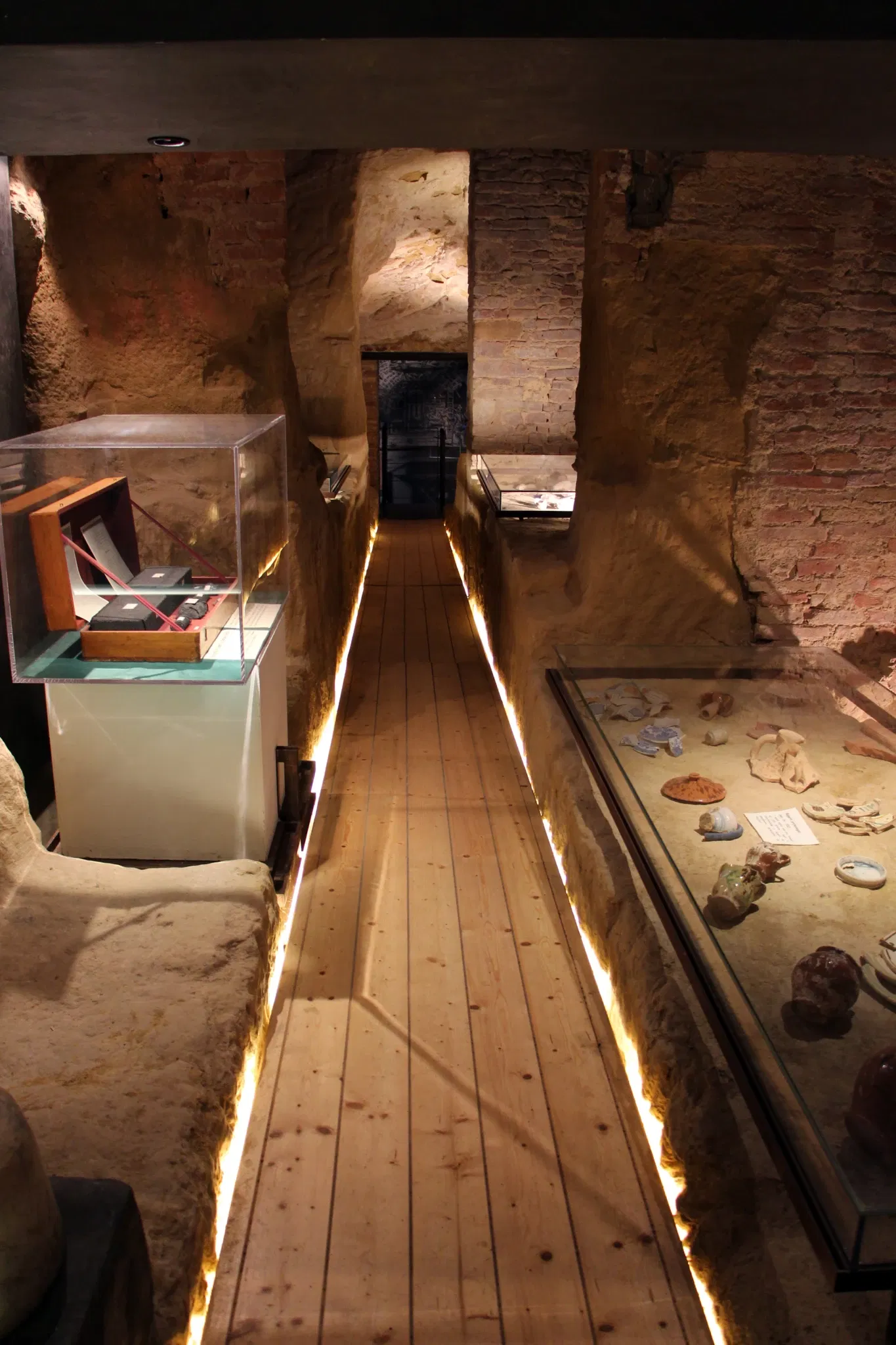 Natural History Museum of the Academy of the Fisiocritici