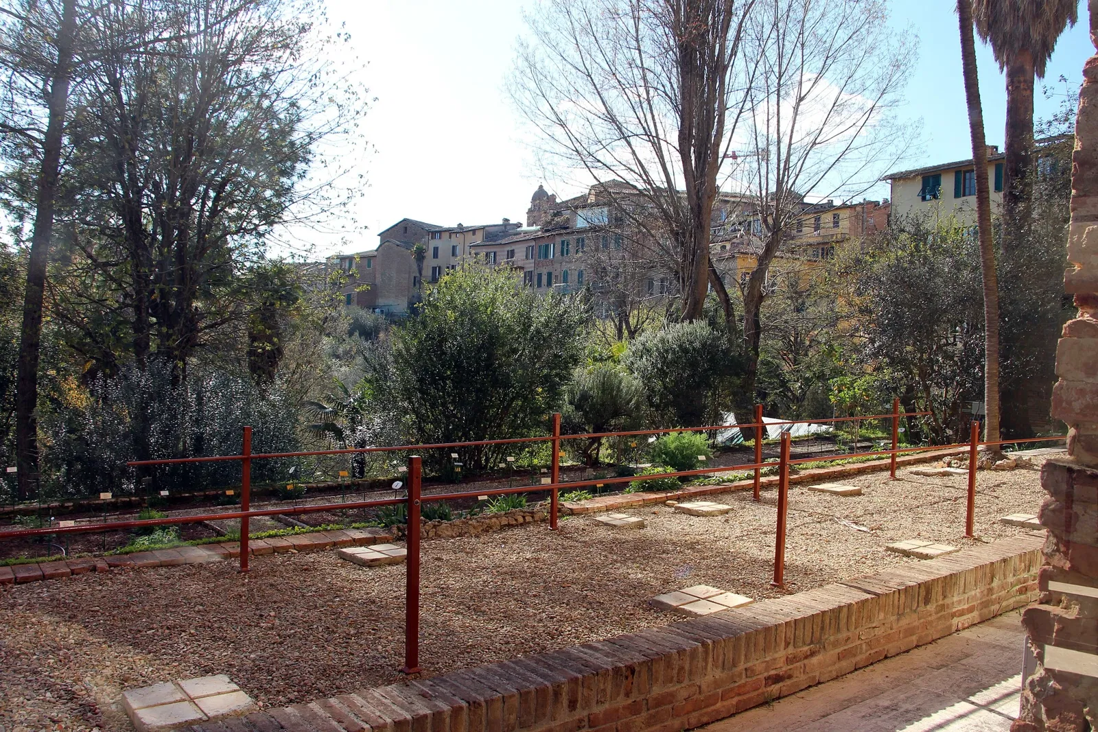 Museo di Storia Naturale Accademia dei Fisiocritici