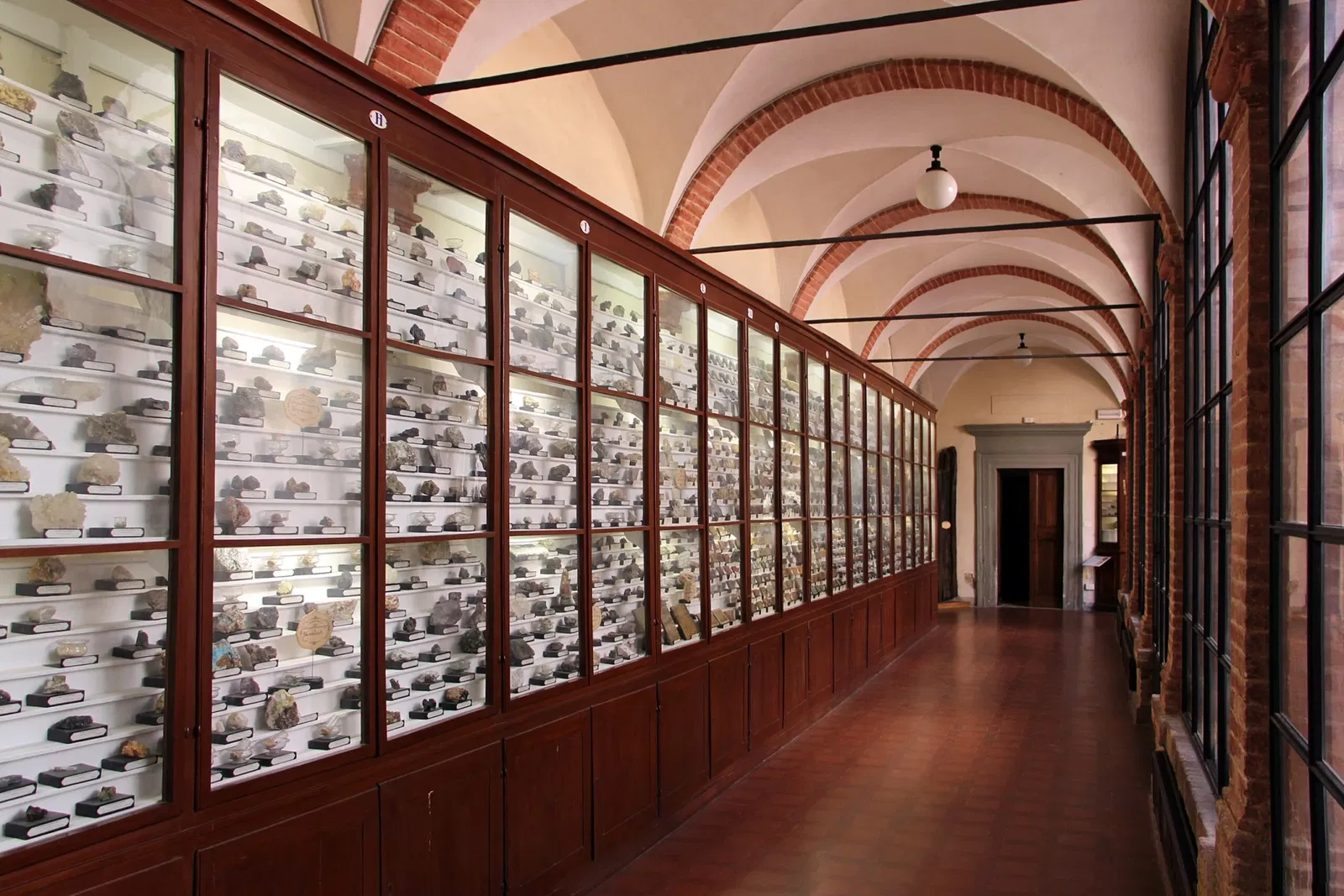 Natural History Museum of the Academy of the Fisiocritici