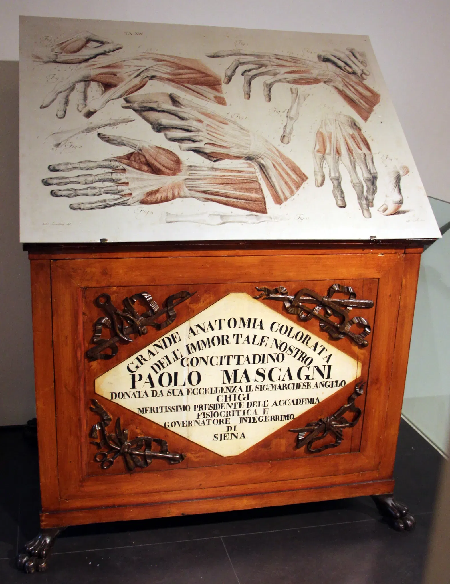 Natural History Museum of the Academy of the Fisiocritici