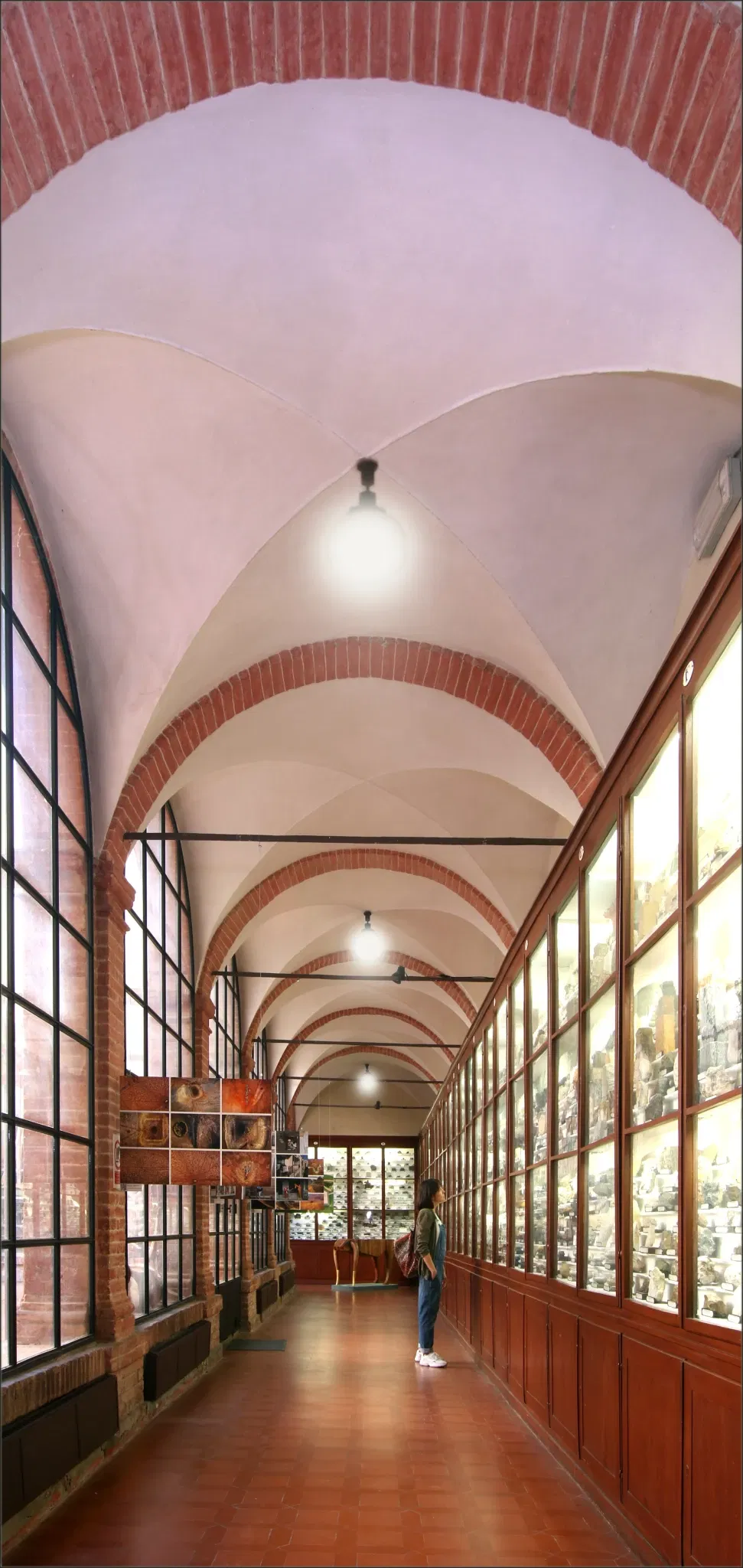 Natural History Museum of the Academy of the Fisiocritici