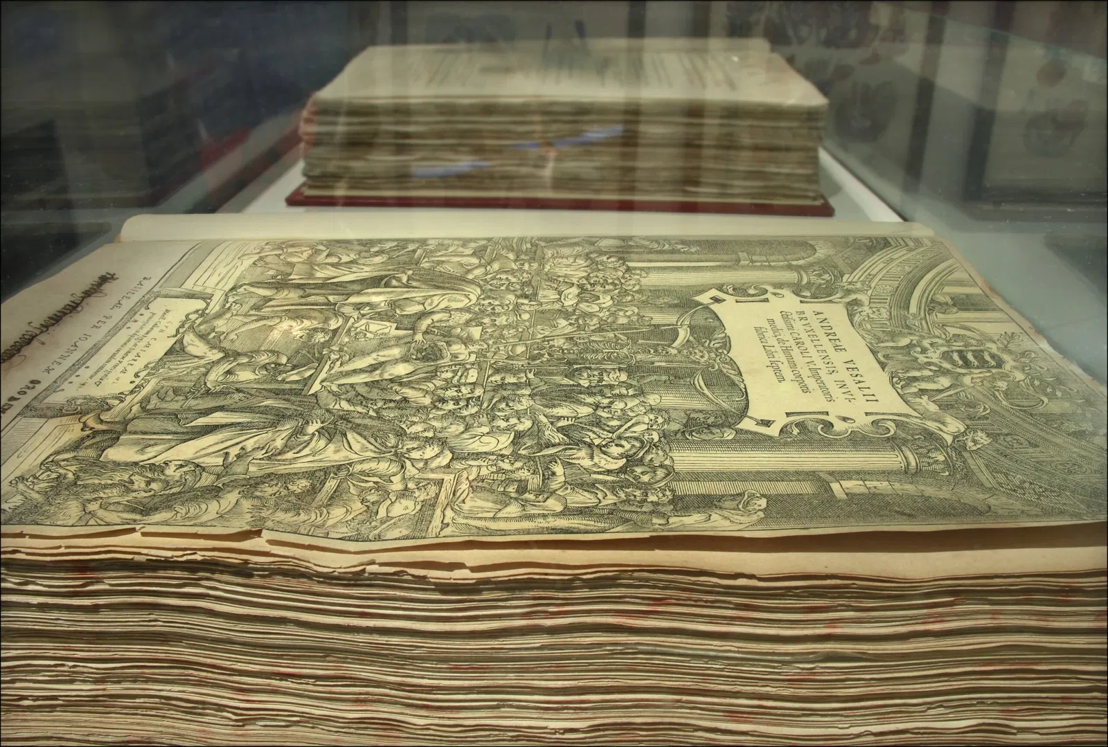 Natural History Museum of the Academy of the Fisiocritici