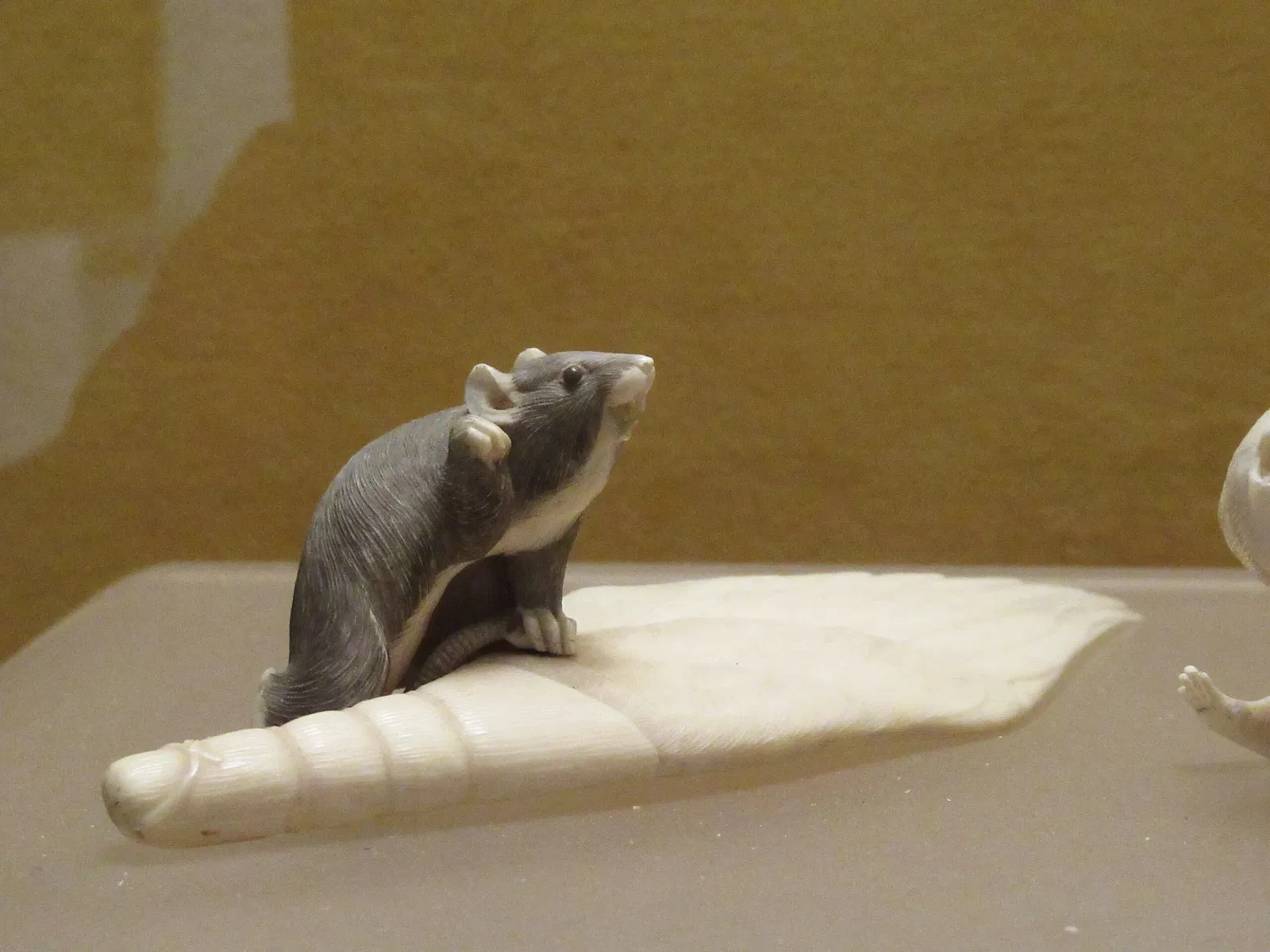 Museo civico d'arte siamese Stefano Cardu