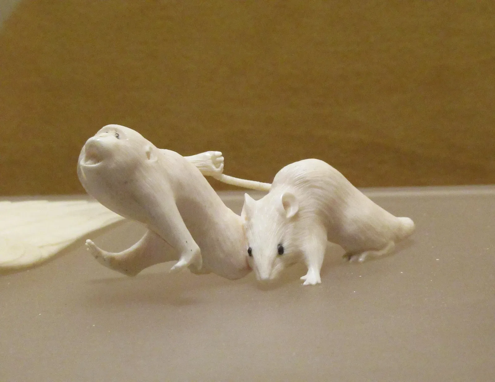 Museo civico d'arte siamese Stefano Cardu