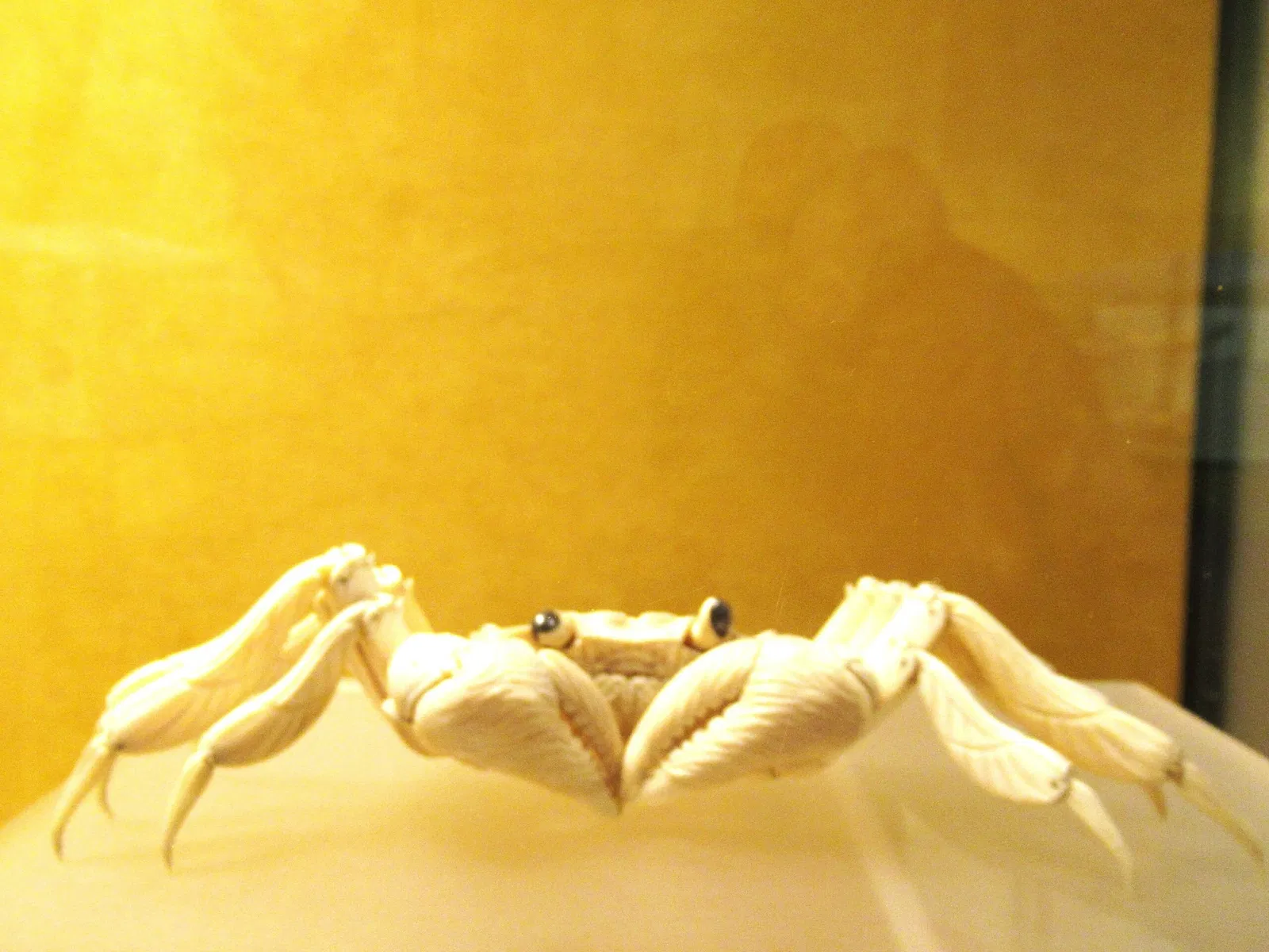 Museo civico d'arte siamese Stefano Cardu