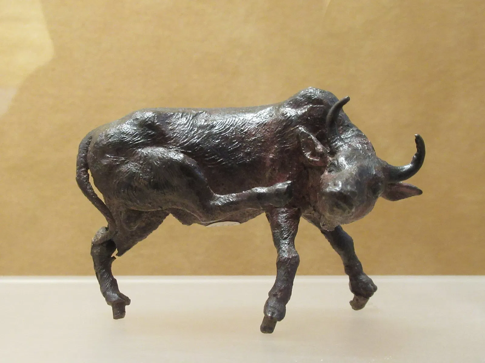 Museo civico d'arte siamese Stefano Cardu