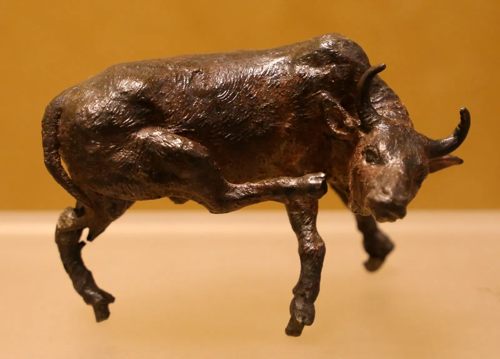 Museo civico d'arte siamese Stefano Cardu