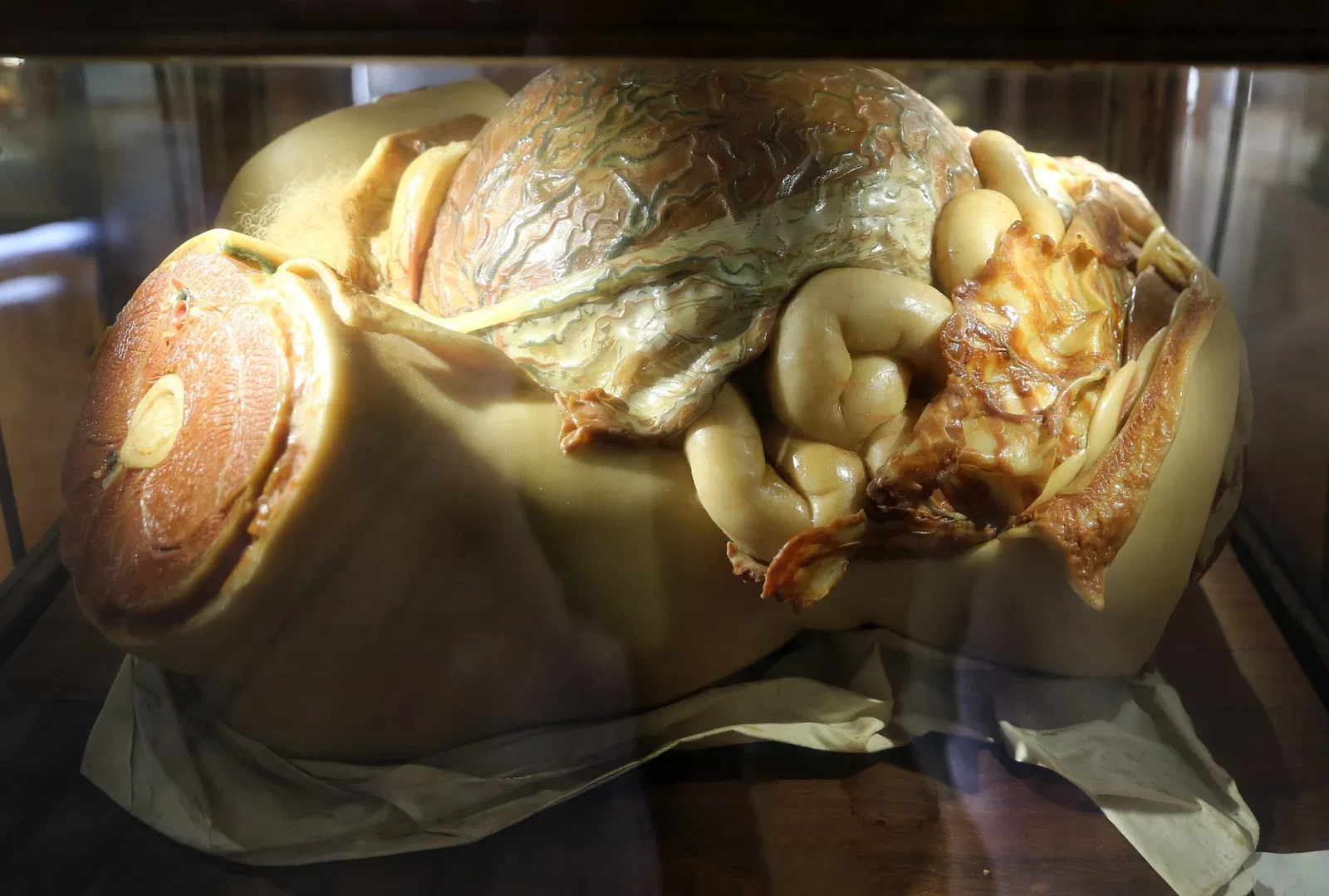 Museo "Raccolta delle cere anatomiche di Clemente Susini"