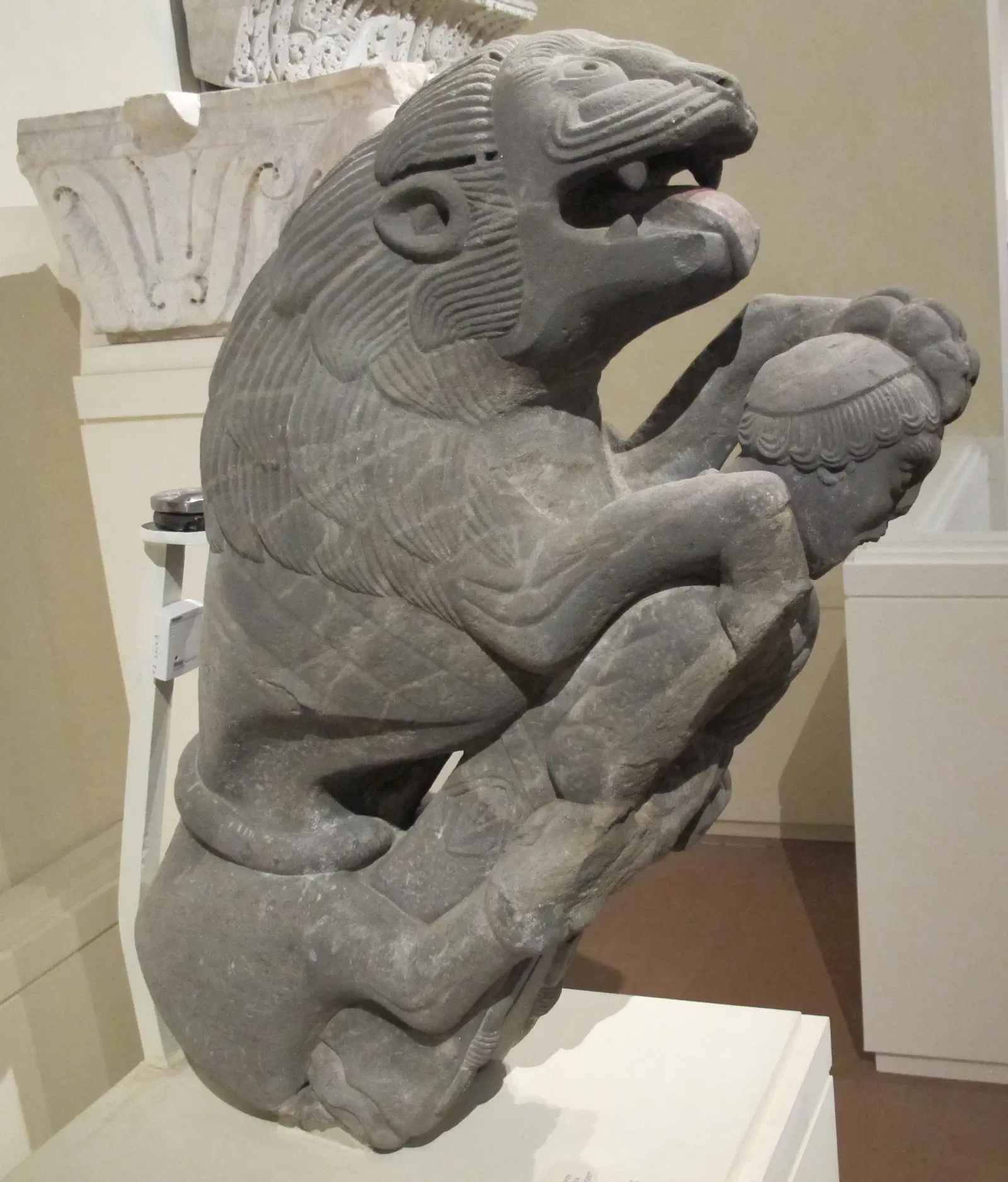 National Museum of Villa Guinigi