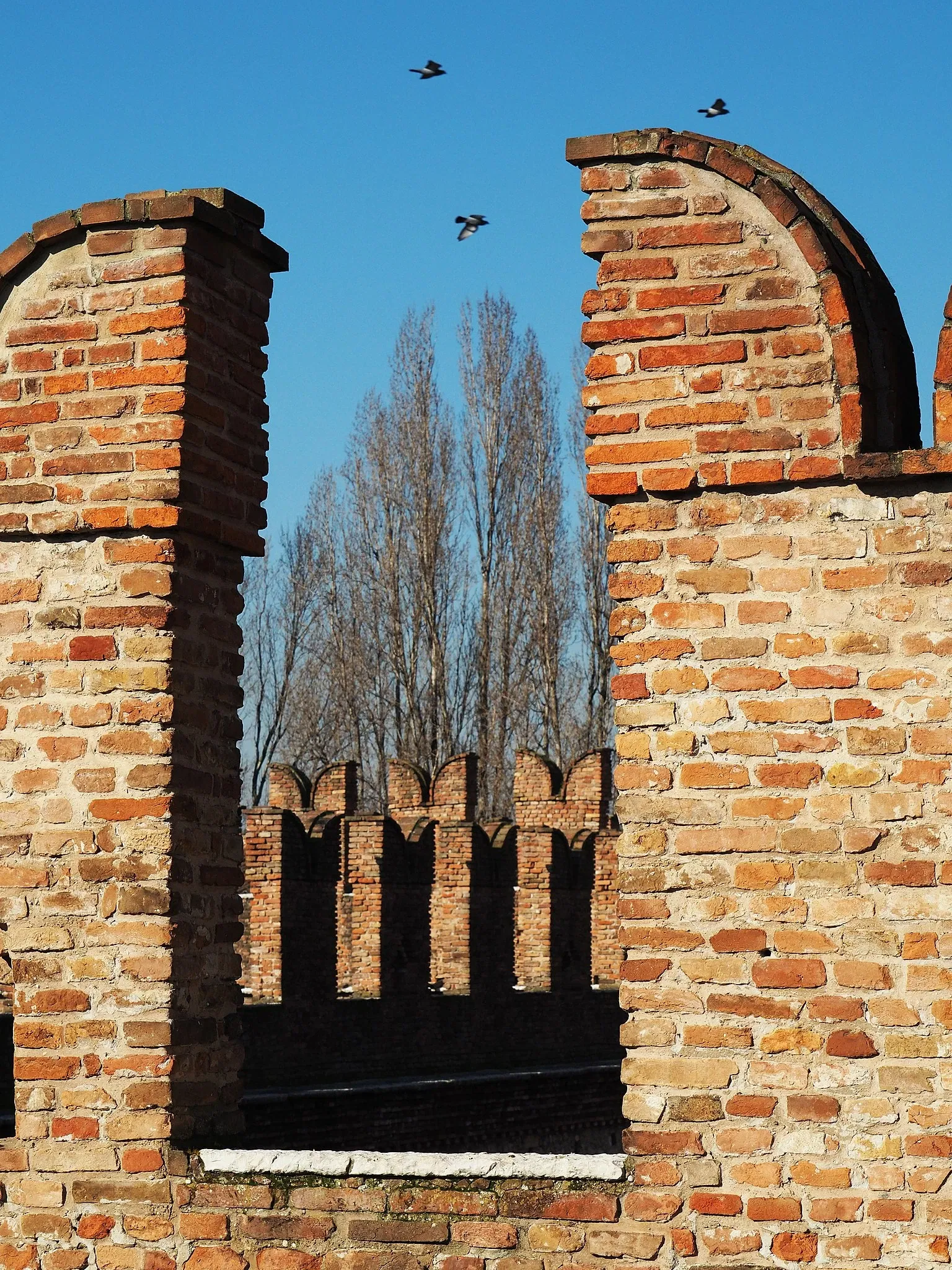Museo di Castelvecchio