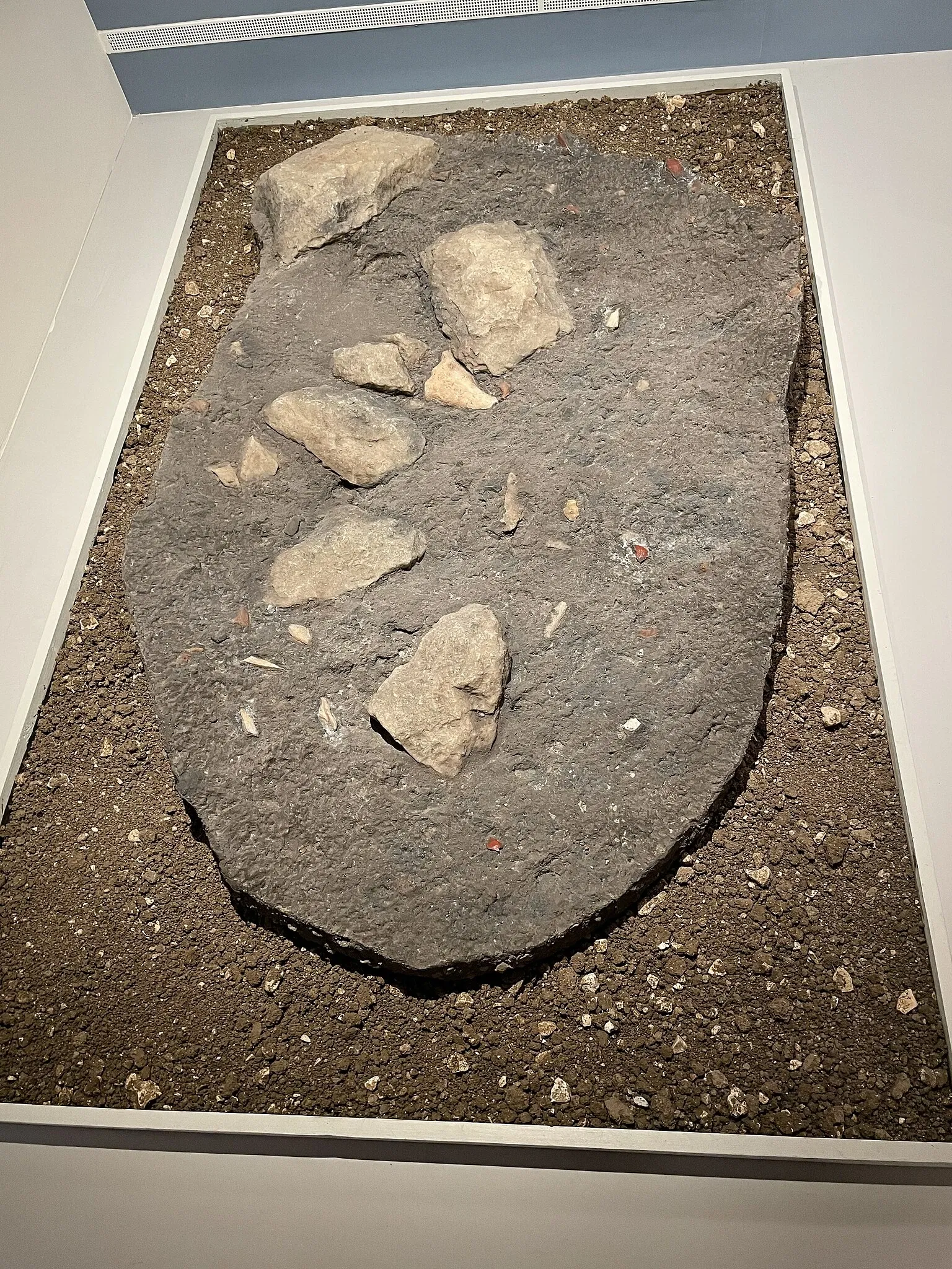 Museo Archeologico Nazionale di Verona