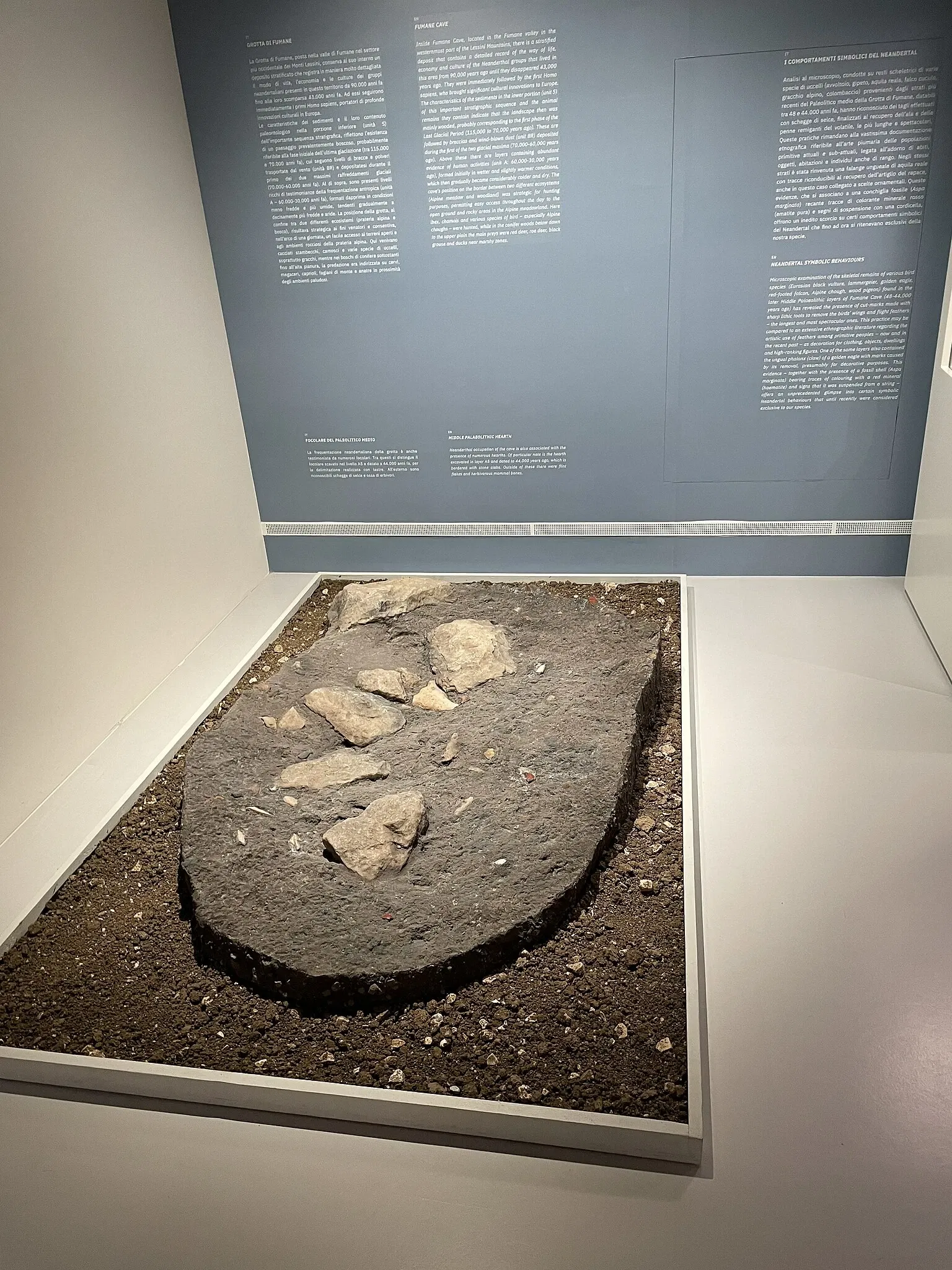 Museo Archeologico Nazionale di Verona