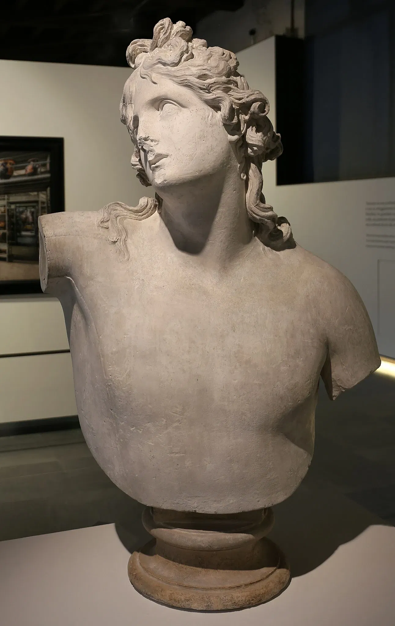 Galleria d'Arte Moderna Achille Forti