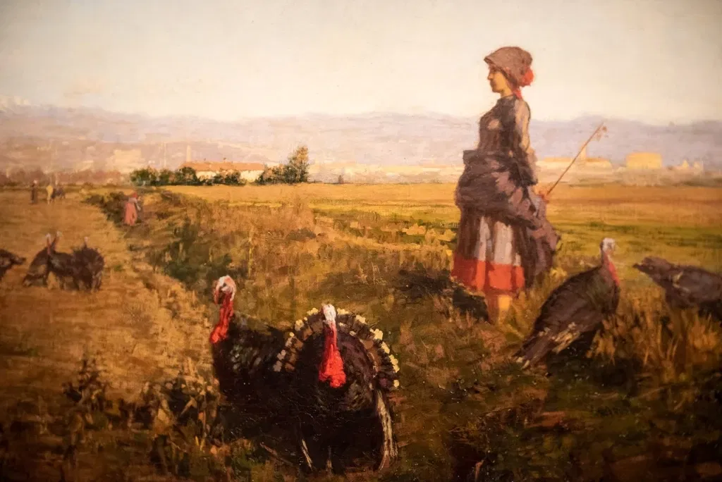 Galleria d'Arte Moderna Achille Forti