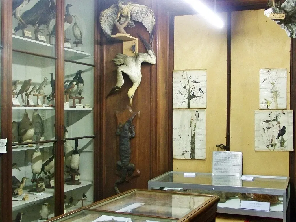 Museum of Natural History