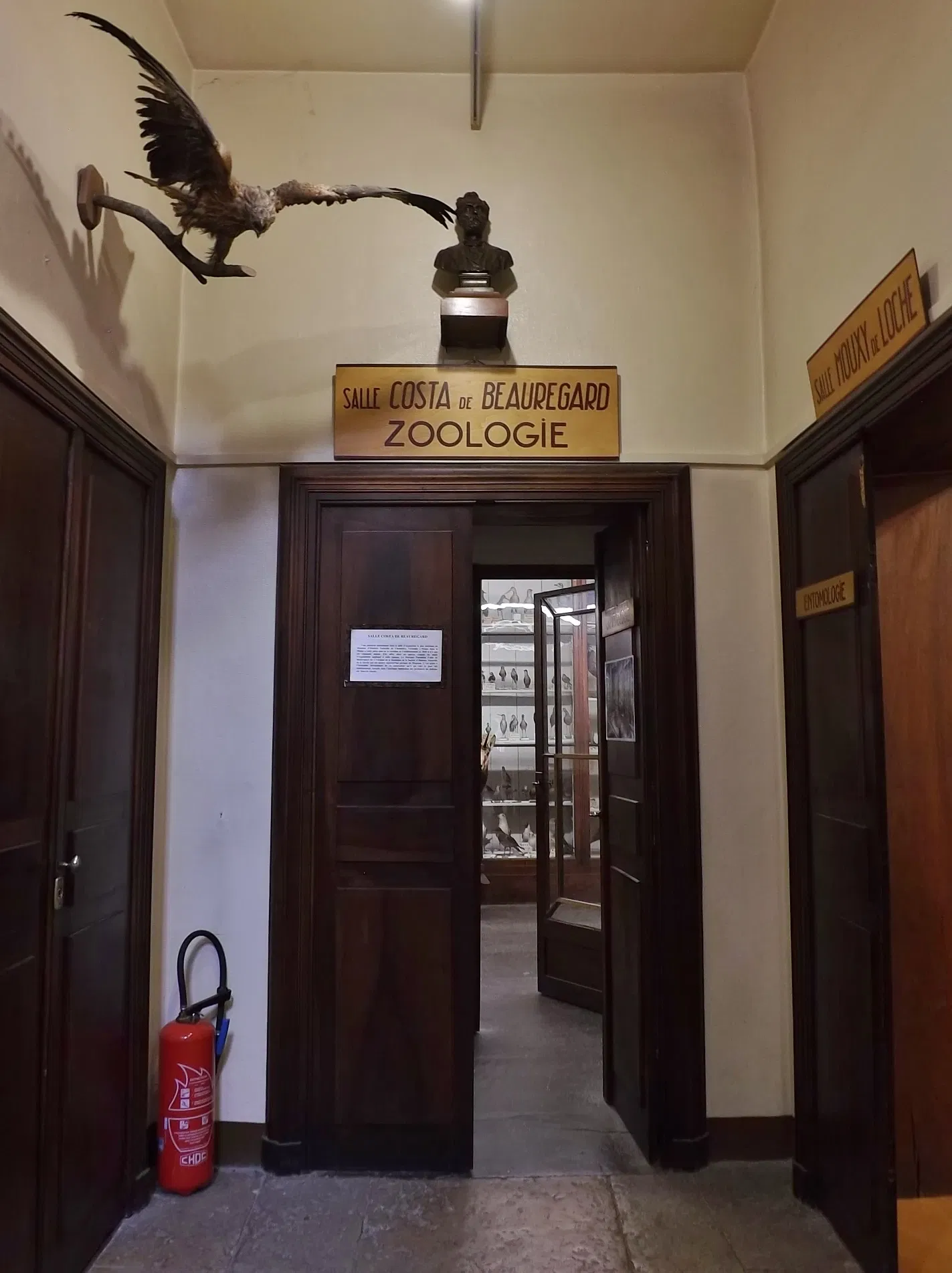 Museum of Natural History