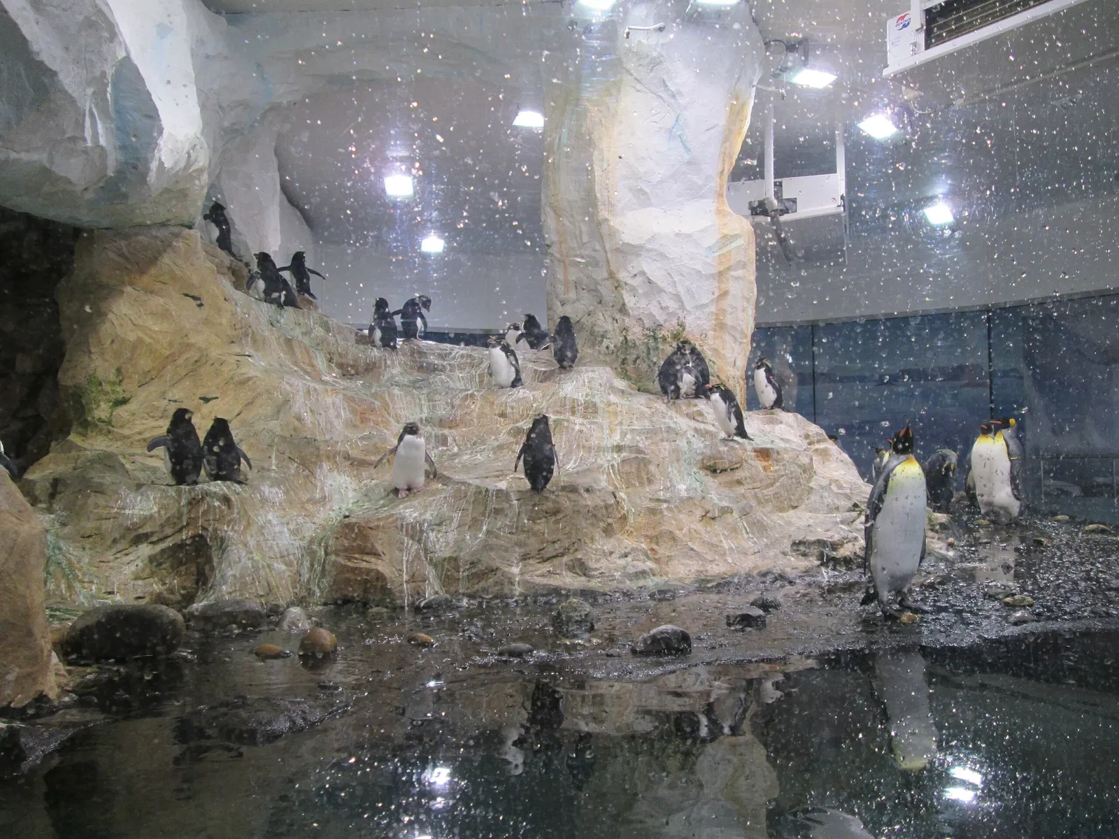 Marineland d'Antibes