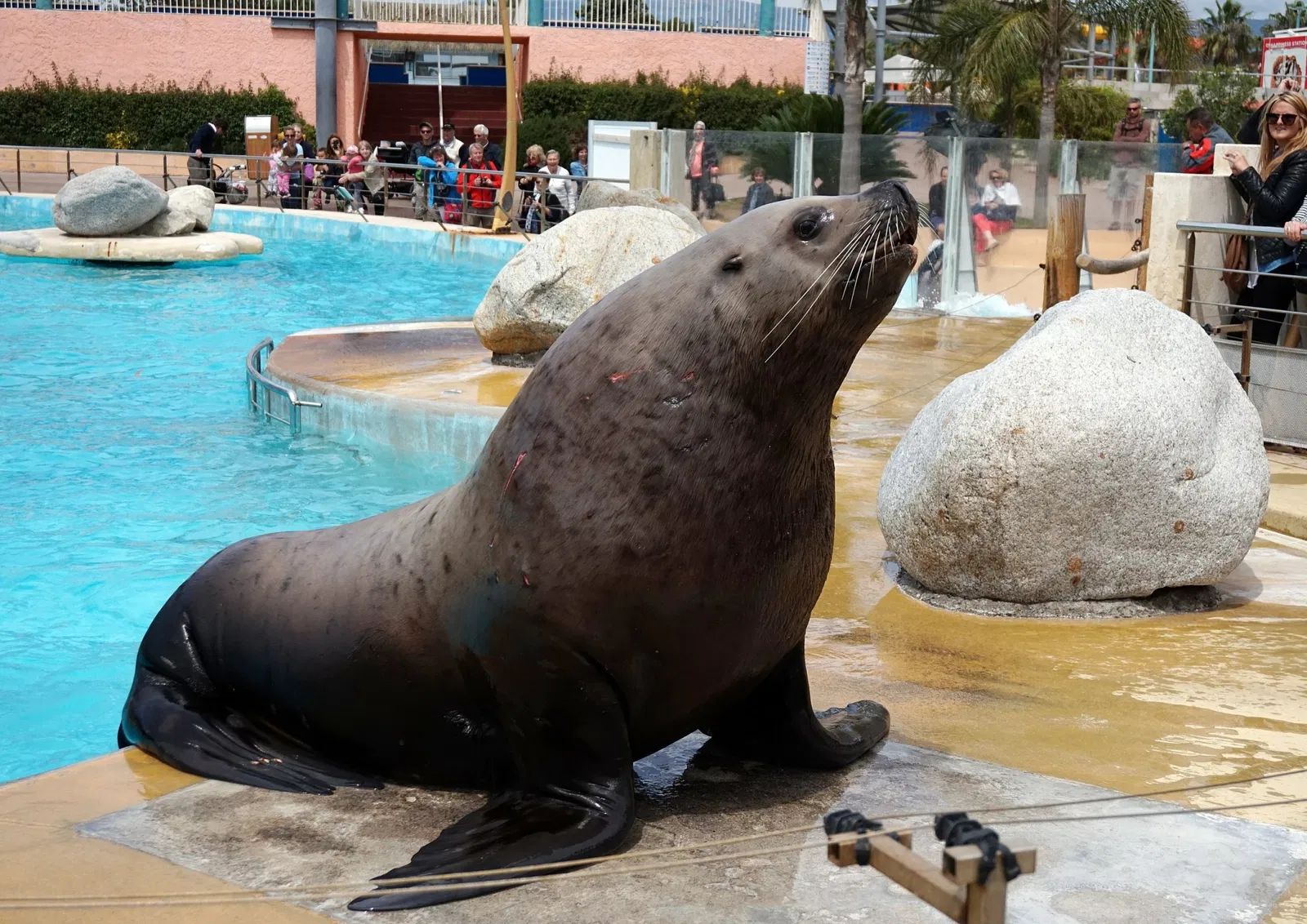 Marineland of Antibes