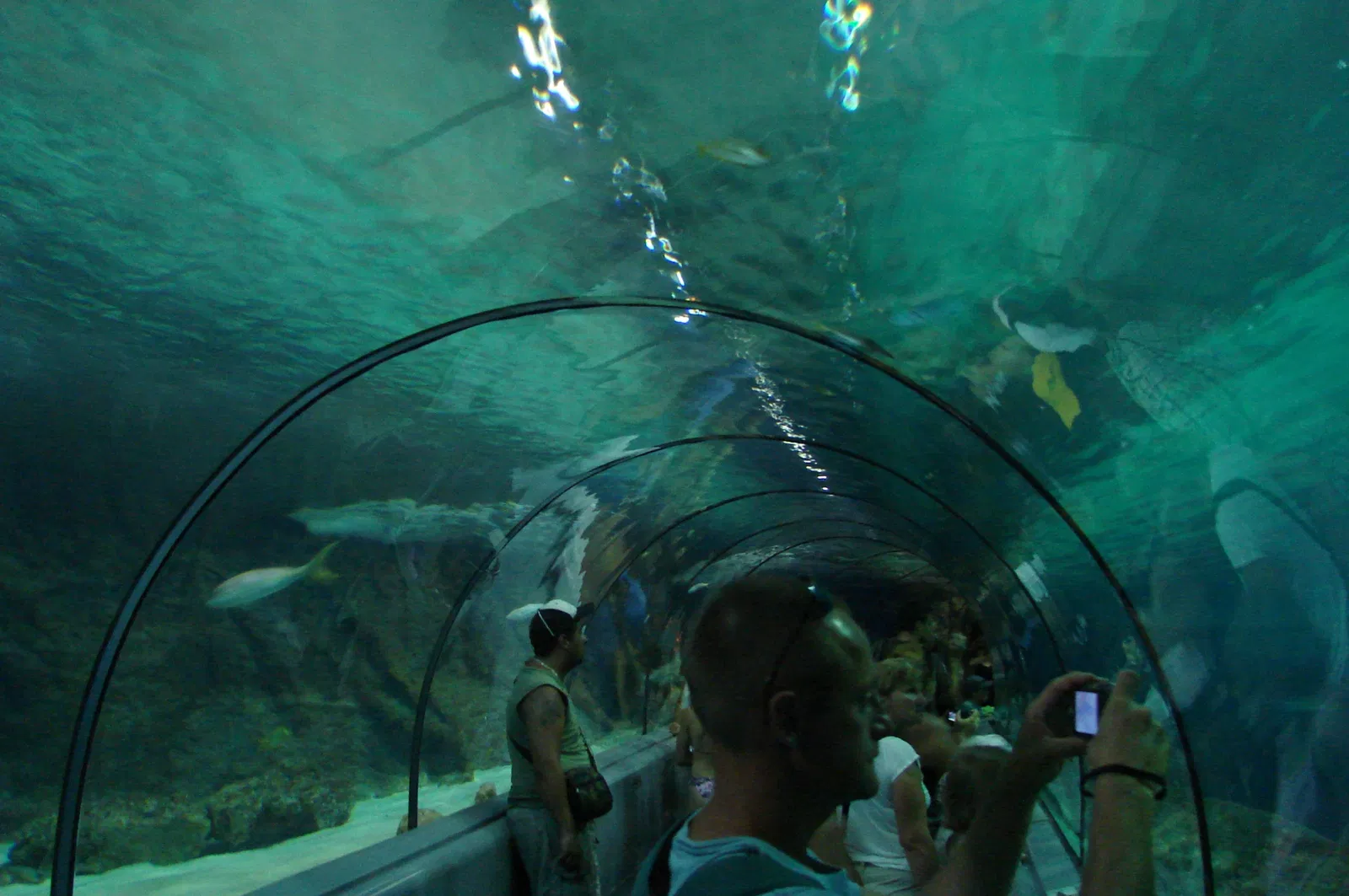 Marineland d'Antibes