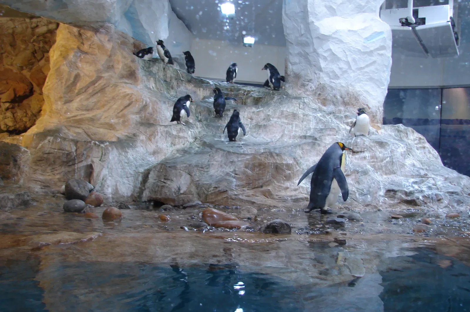 Marineland of Antibes