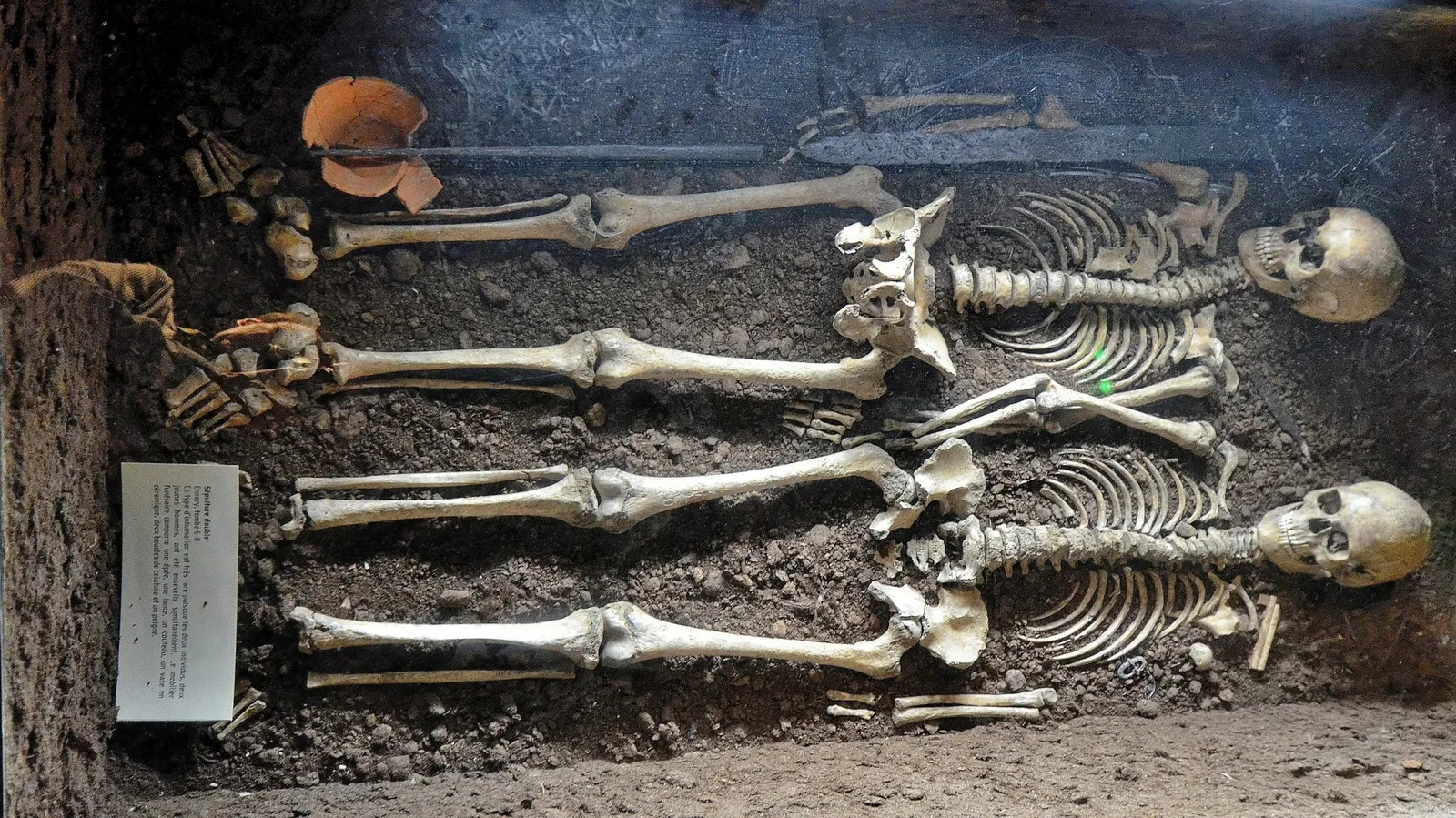 Museum of La Cour d'Or