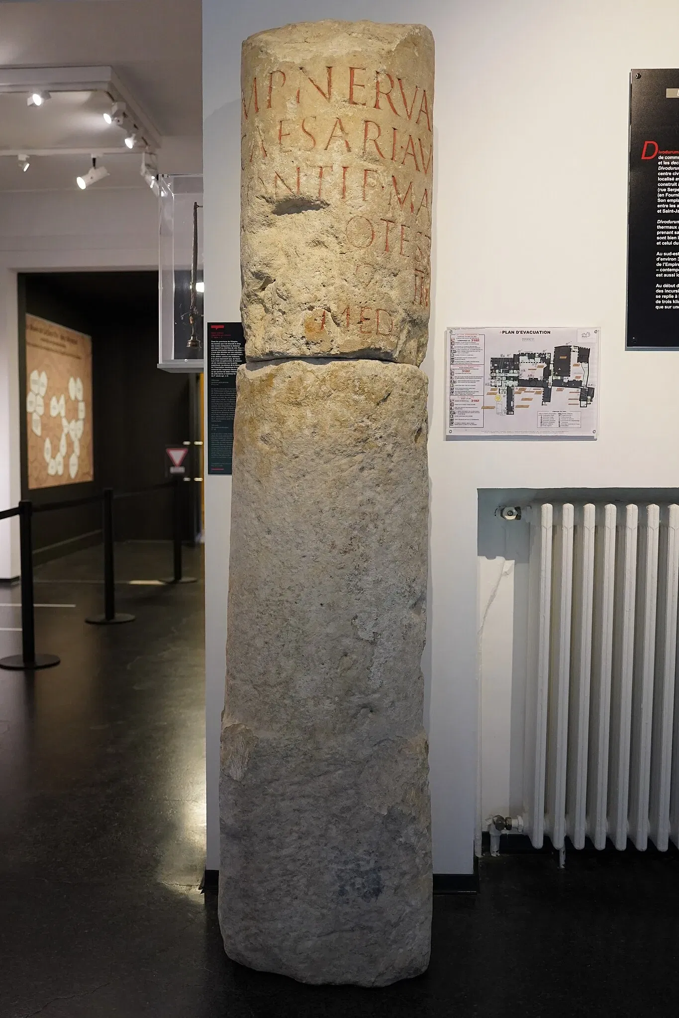 Museum of La Cour d'Or