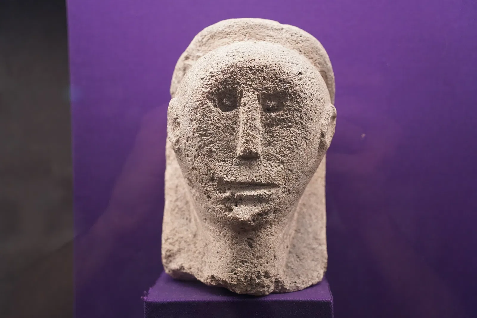 Museum of La Cour d'Or