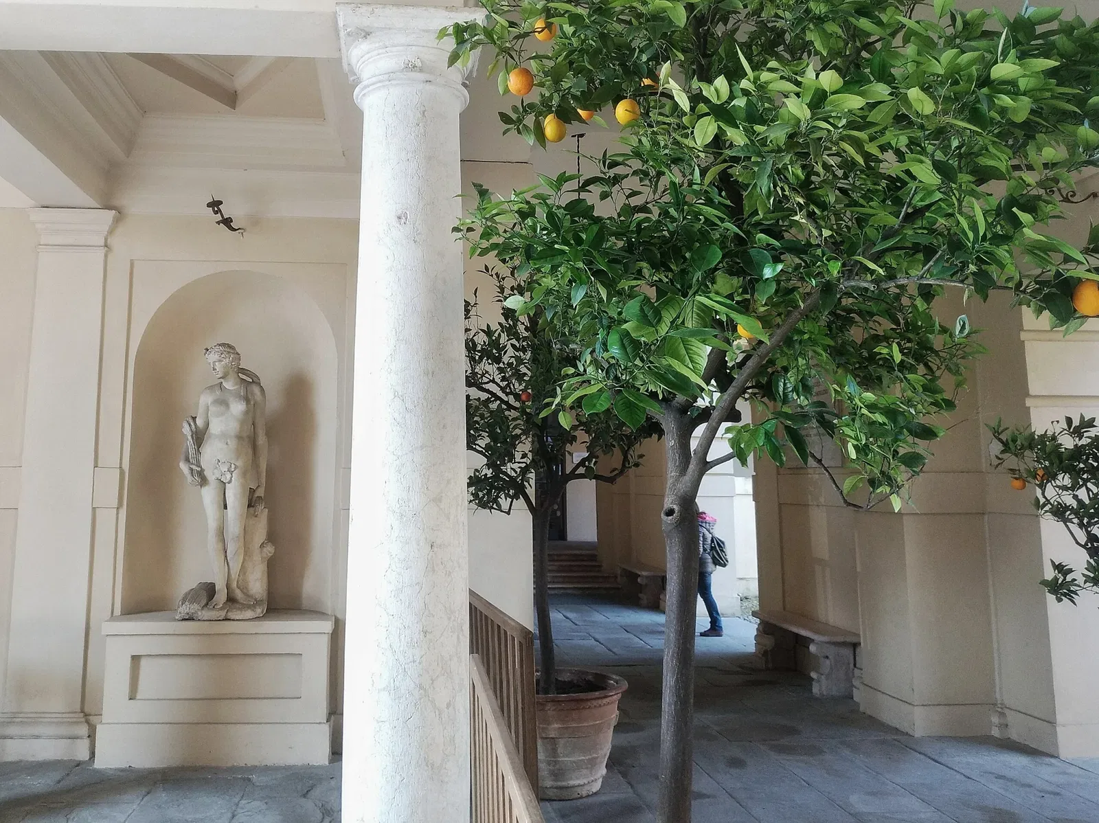 Museo di Palazzo d'Arco