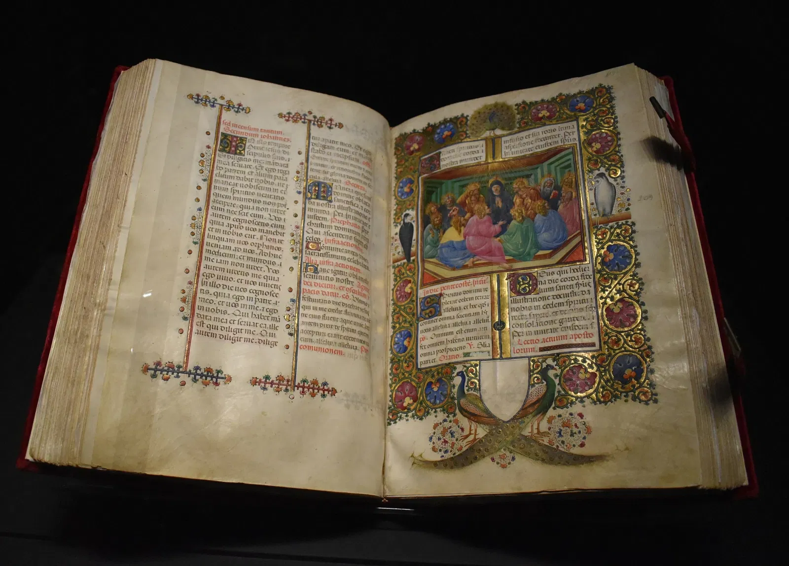 Museo Diocesano Francesco Gonzaga